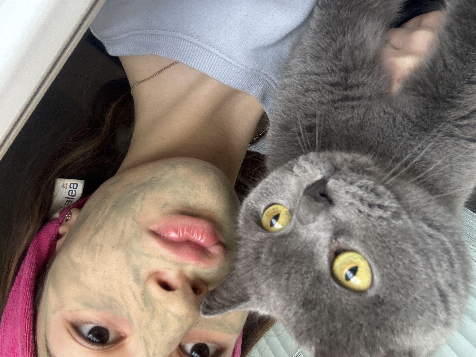 Friday morning social media posts captured in Ruse, Bulgaria