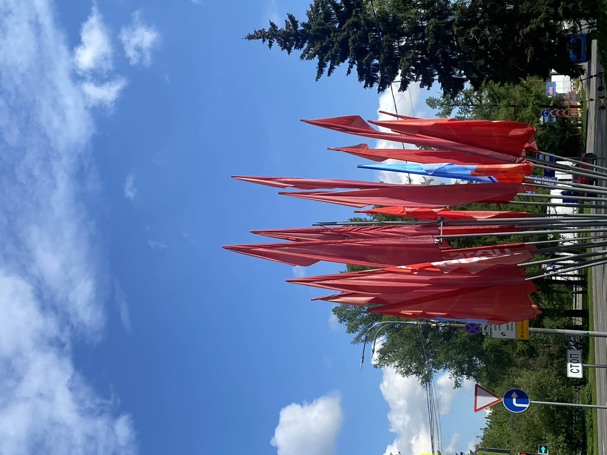 Safety worker spotted in flower field amid red flags in Zelenograd