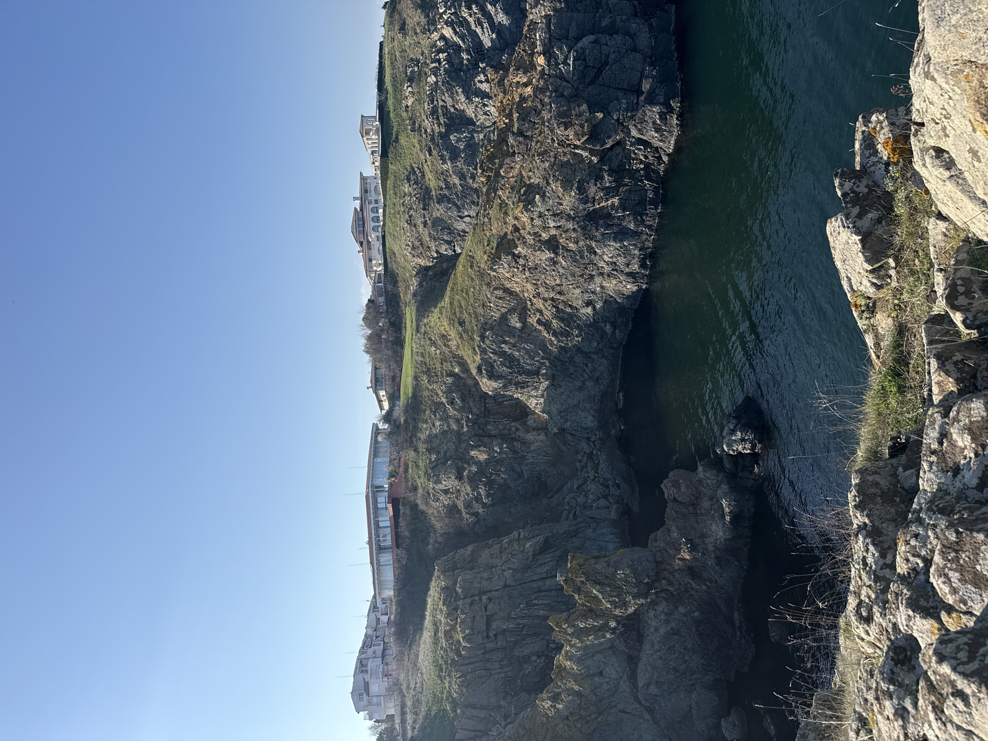Person holds flower while viewing Sozopol coastline from cliff