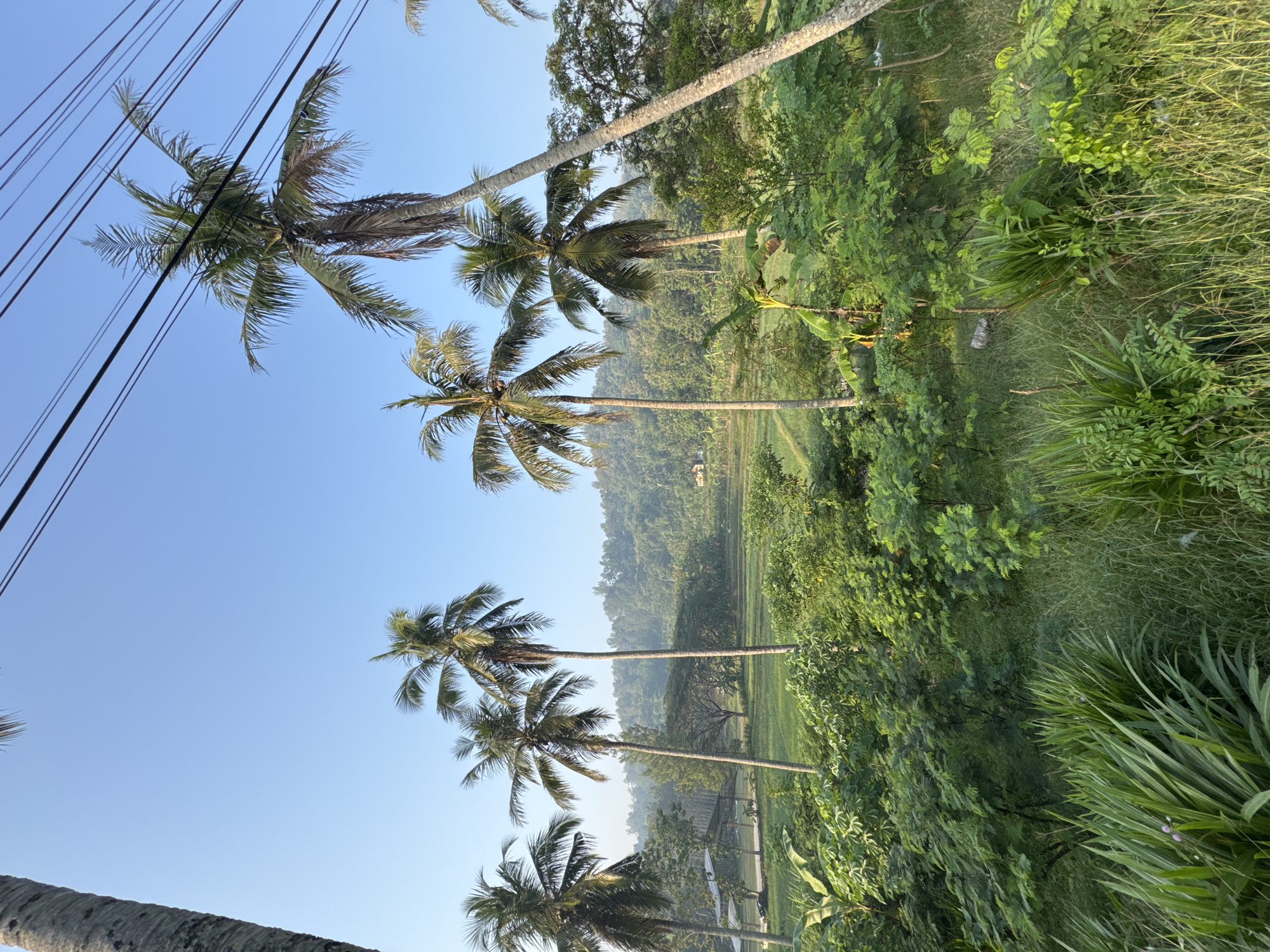 Rural roads, palm trees, and a local office in Alian, Indonesia