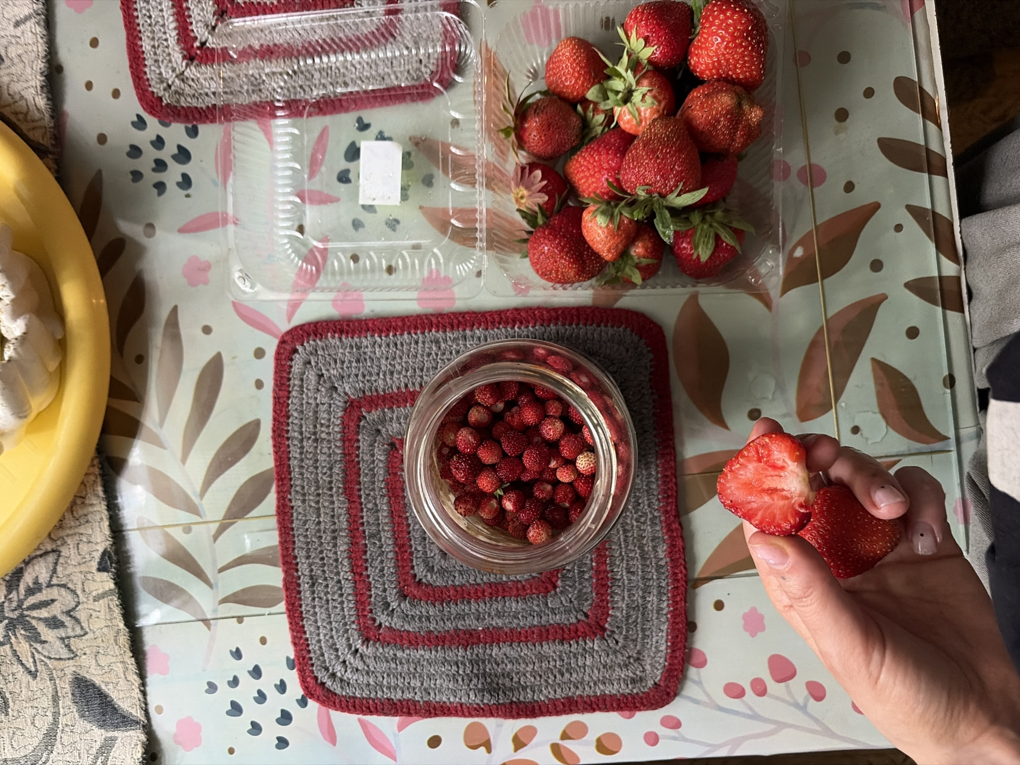 Pets, pasta, and strawberries in a Lyubertsy home