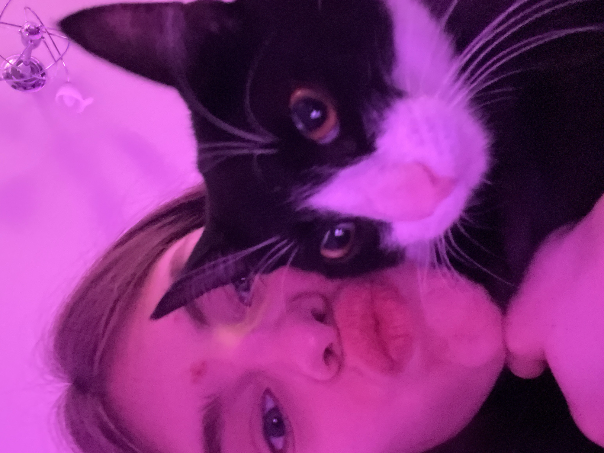 Evening selfies with cat under purple lights in Saint Petersburg