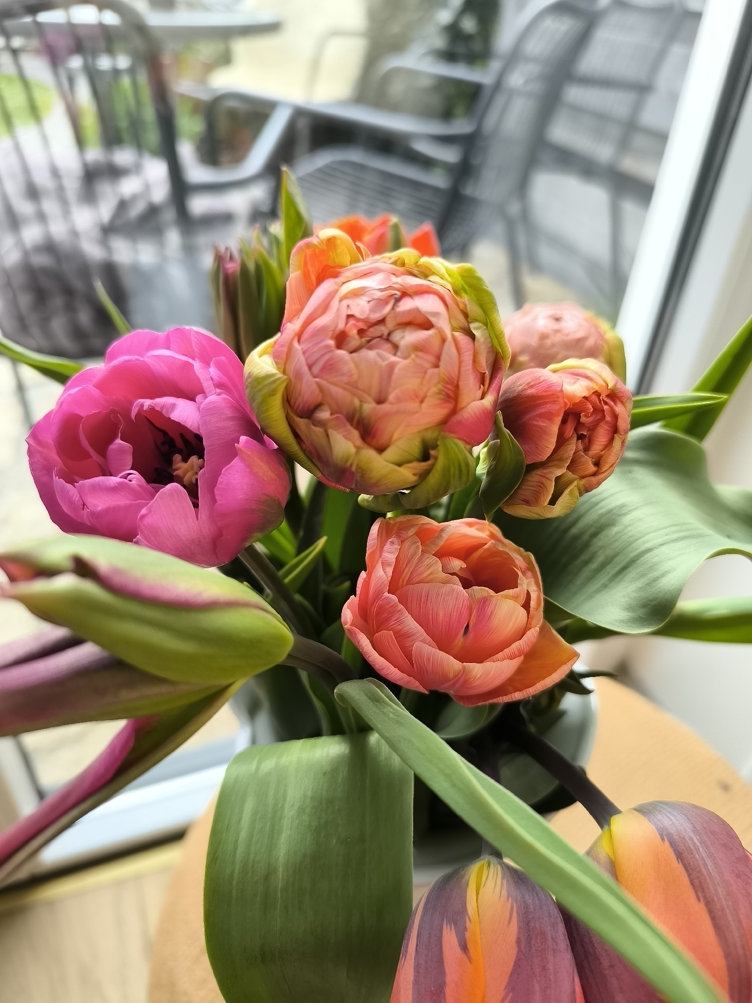 Indoor gathering preparations documented in Alkmaar with flowers and food