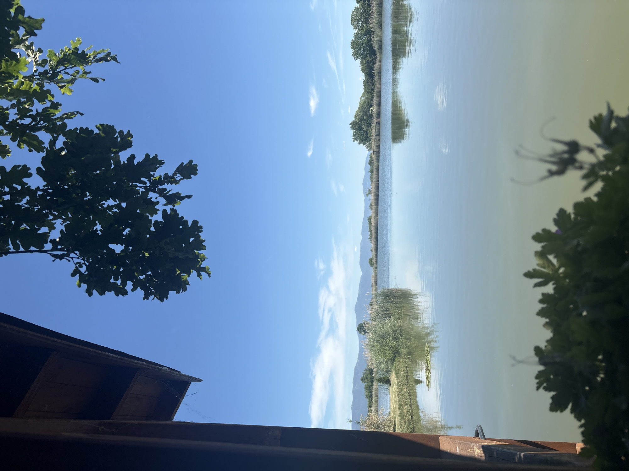 Garden gathering with vintage cars and nature scenes documented