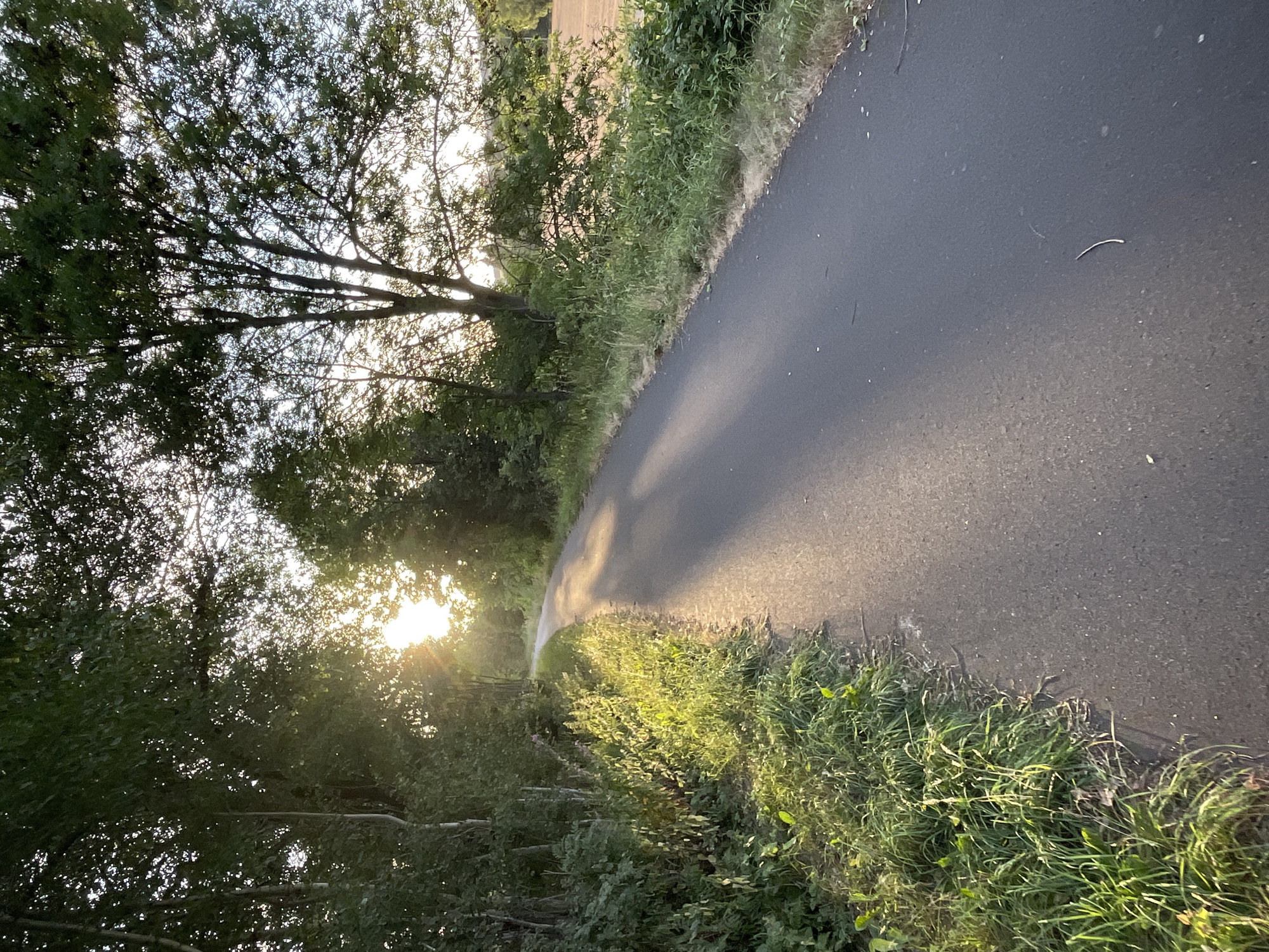 Golden hour stroll through rural Hessian fields and country roads