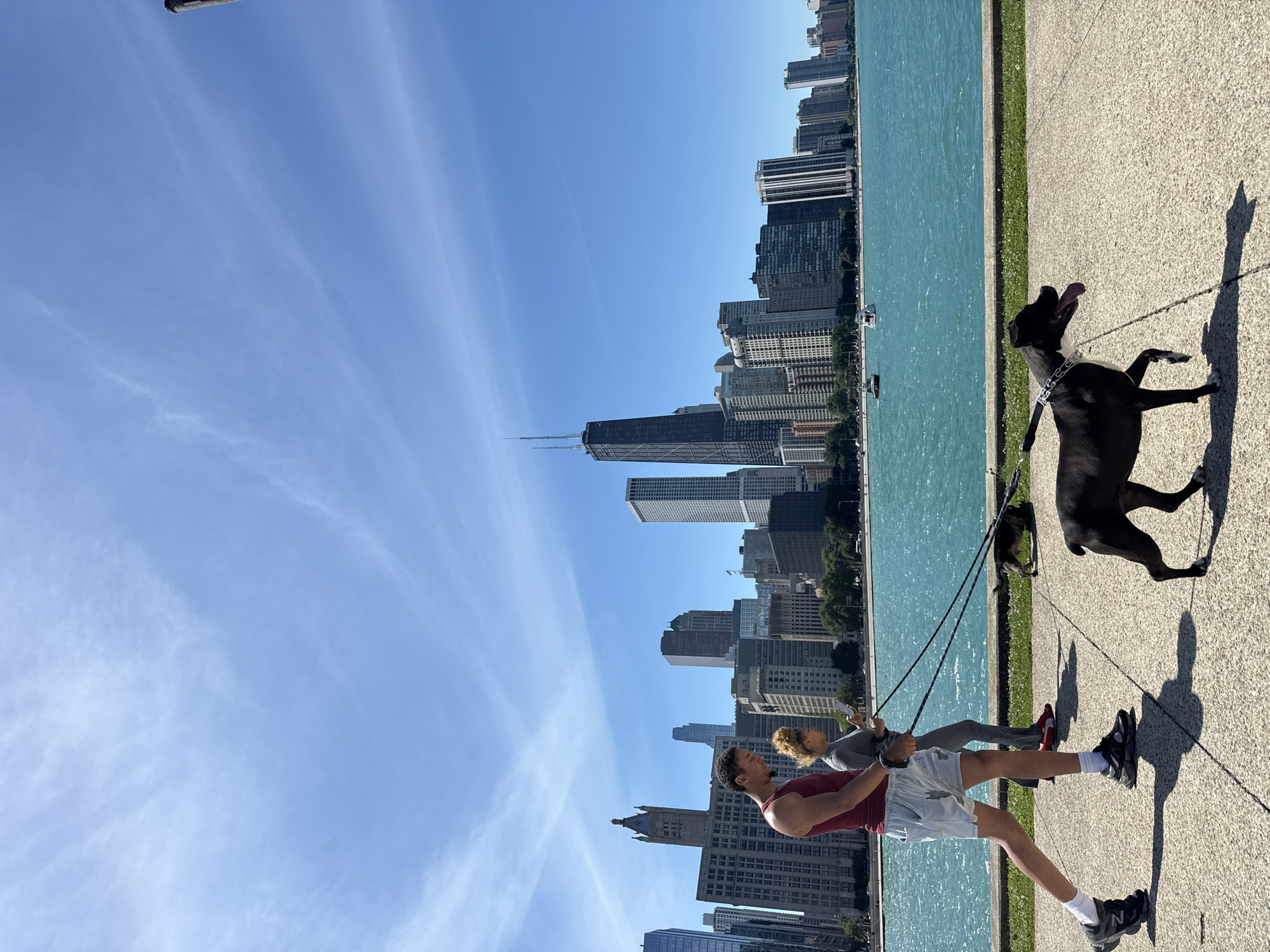 Sunny afternoon across Chicago's streets, waterways, and rooftops