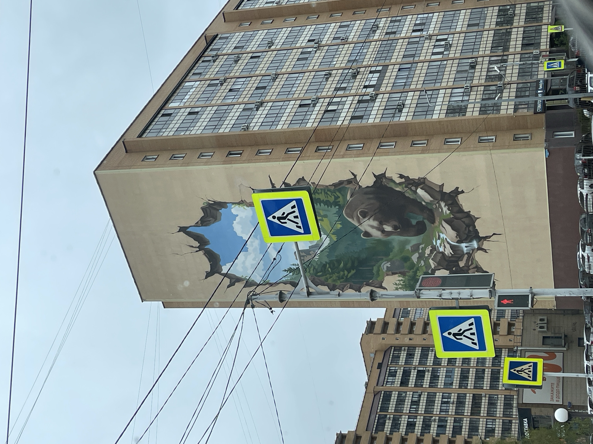 Bear mural spotted on Krasnoyarsk building facade