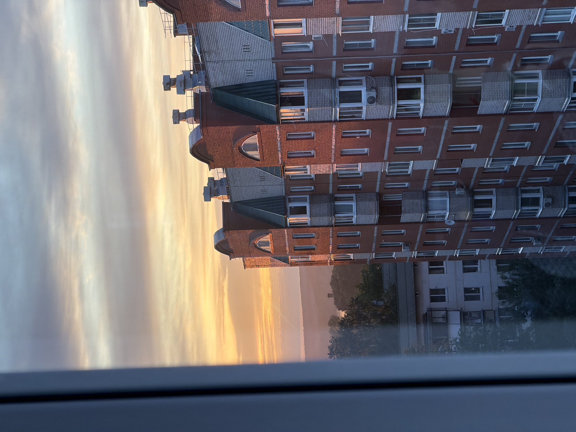Resident documents sunset views and pet moments in Chaikovsky