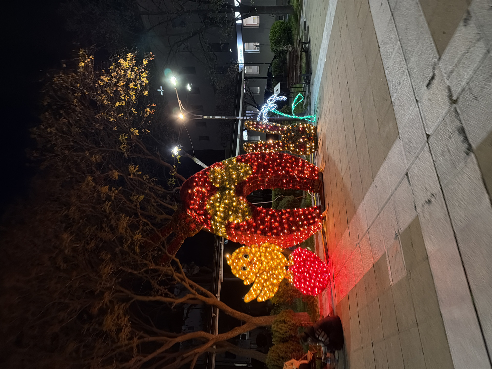 Illuminated crab Christmas decorations spotted on Blagoevgrad sidewalk