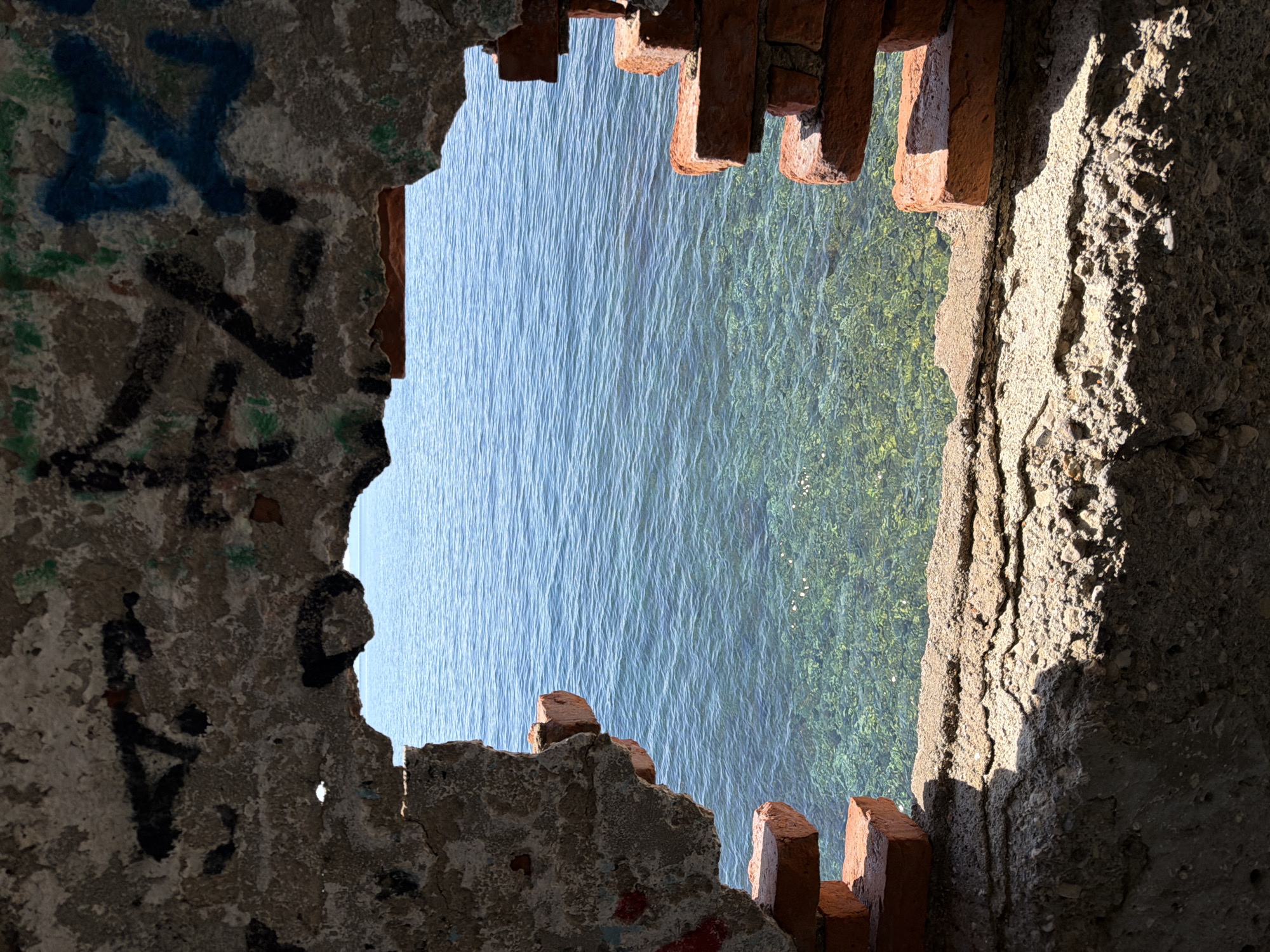 Adriatic coastline and port operations observed in Rijeka
