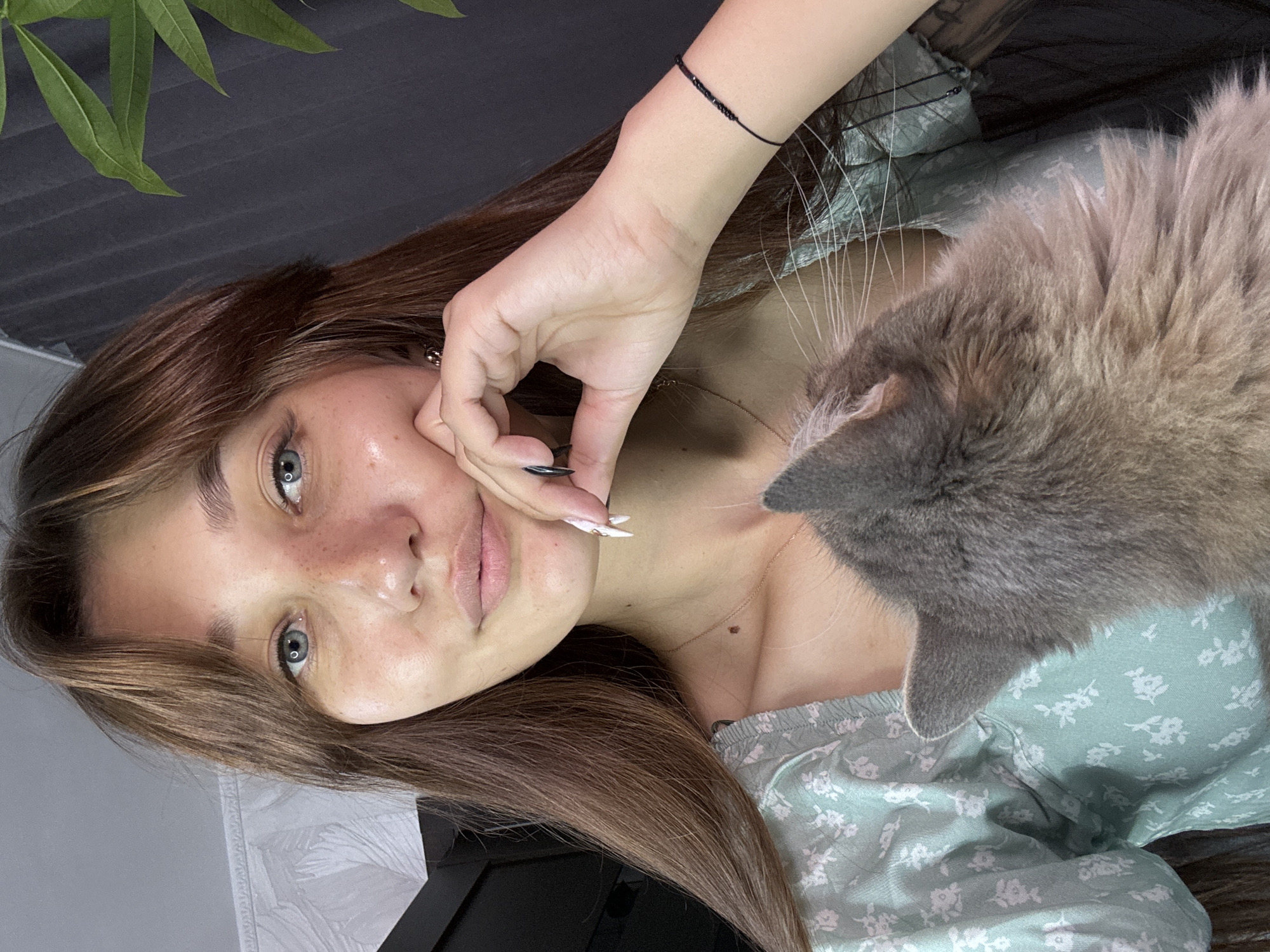 Casual at-home moments with a grey cat in Novokuznetsk