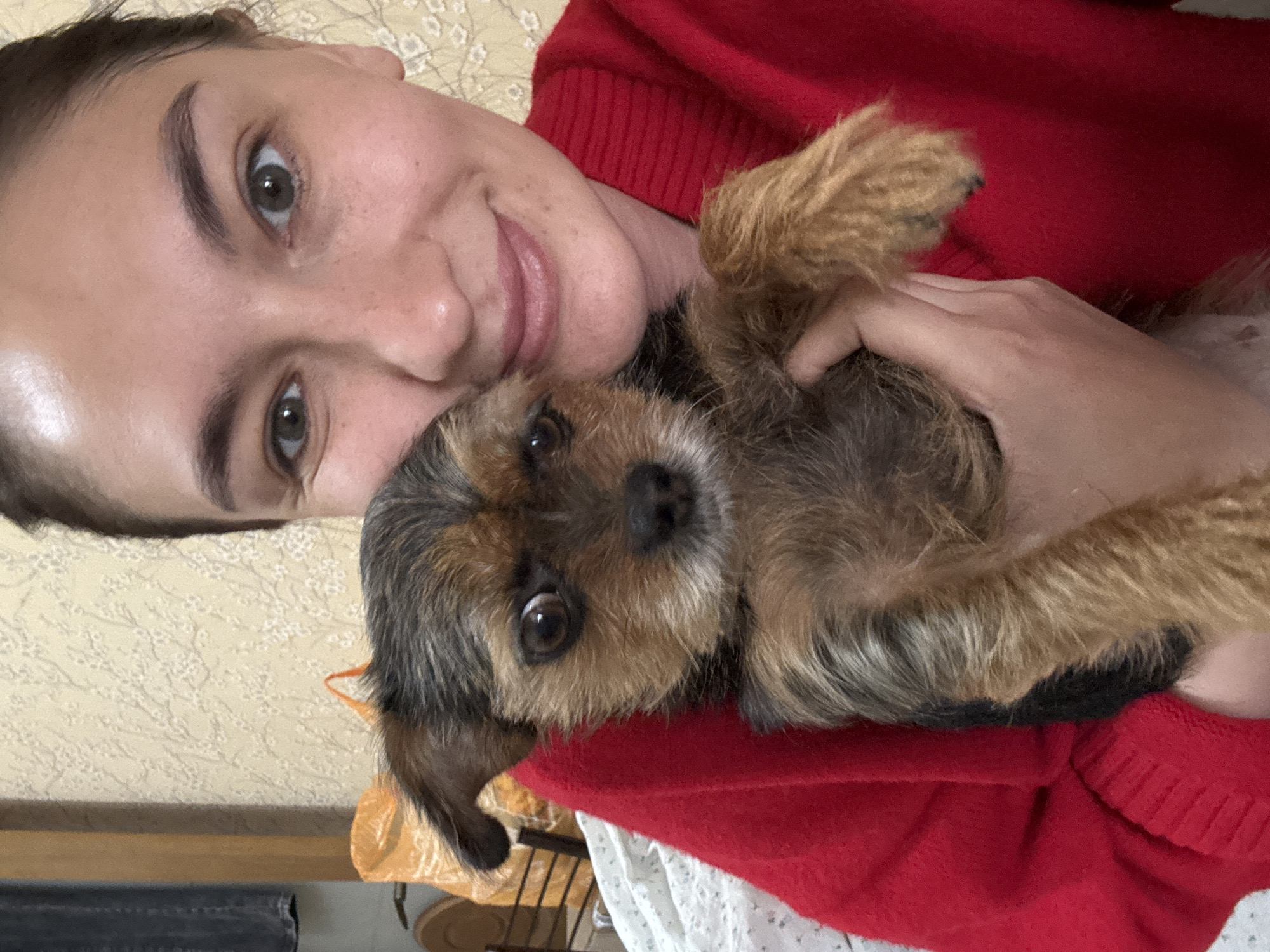 Morning moments captured in Sochi: pet owner, car passengers