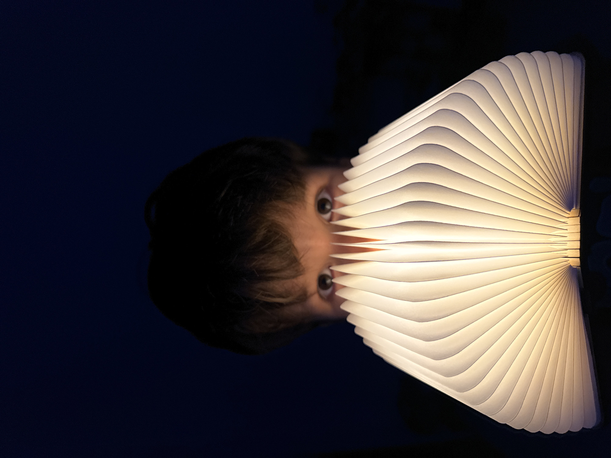 Novelty cat and book lamps glow in playful Mũi Né night shoots