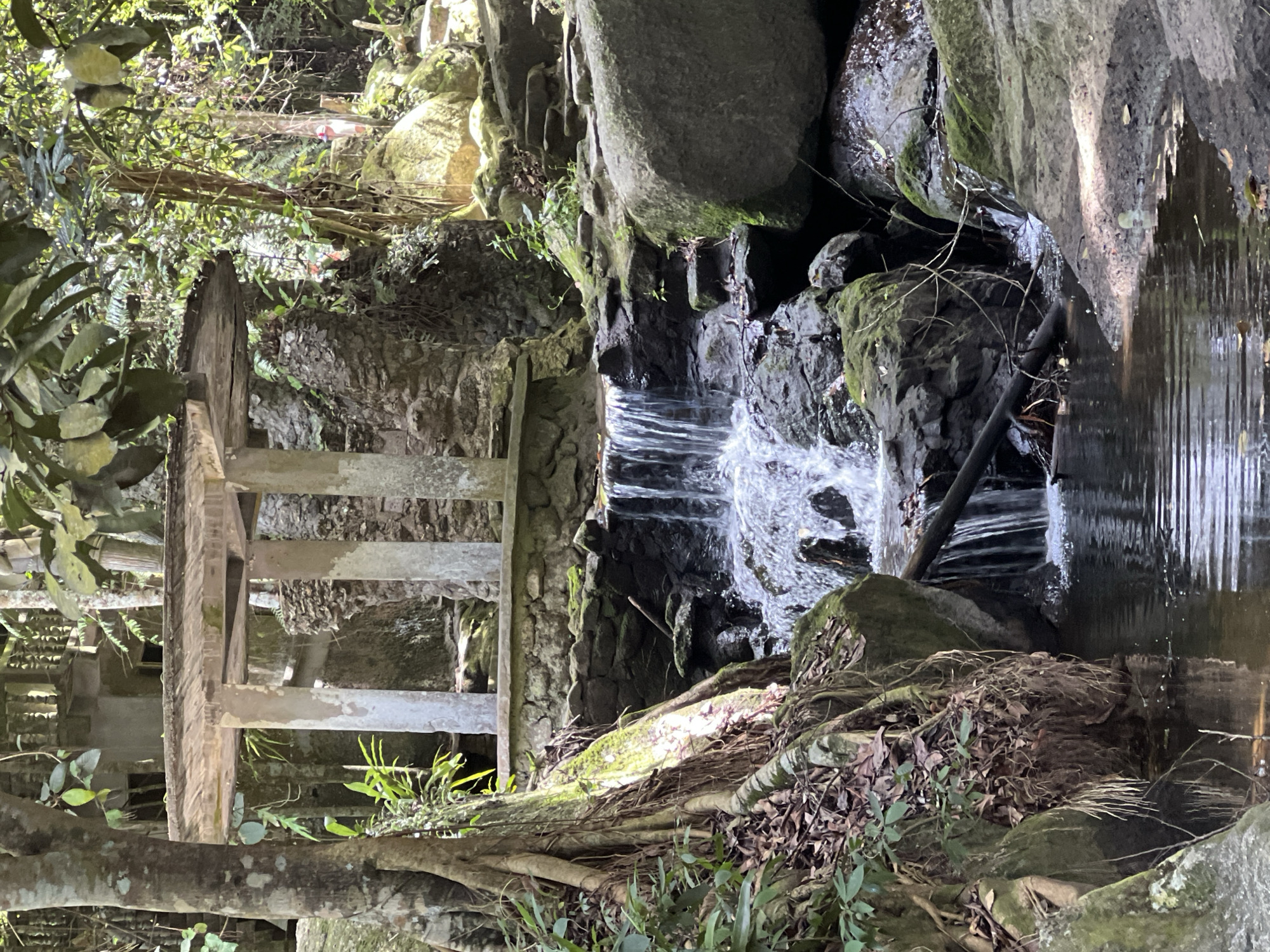 Mossy temple statues and jungle waterfall on Ko Samui
