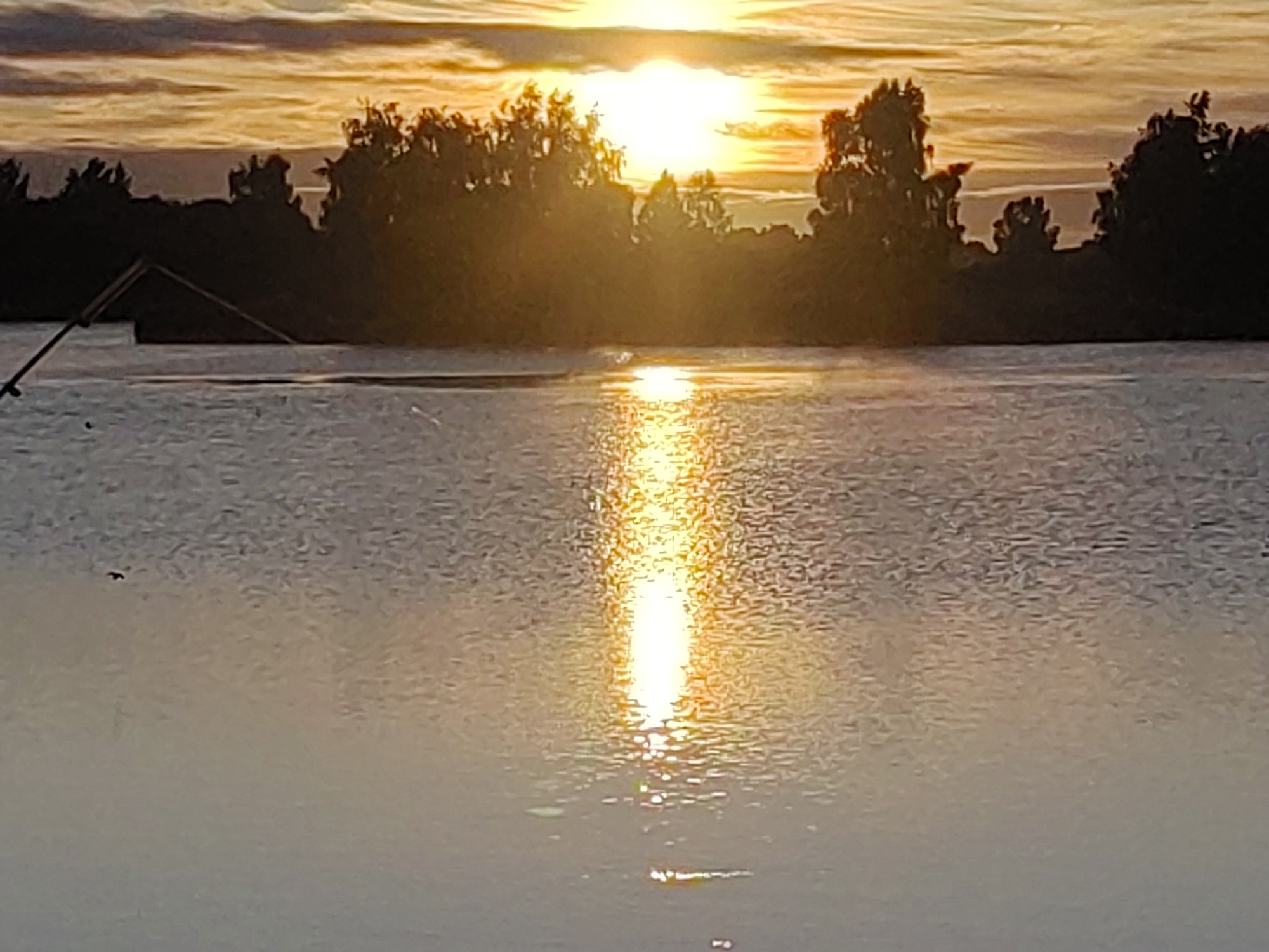 Sunset over quiet Belarusian lake, tree silhouettes on the horizon