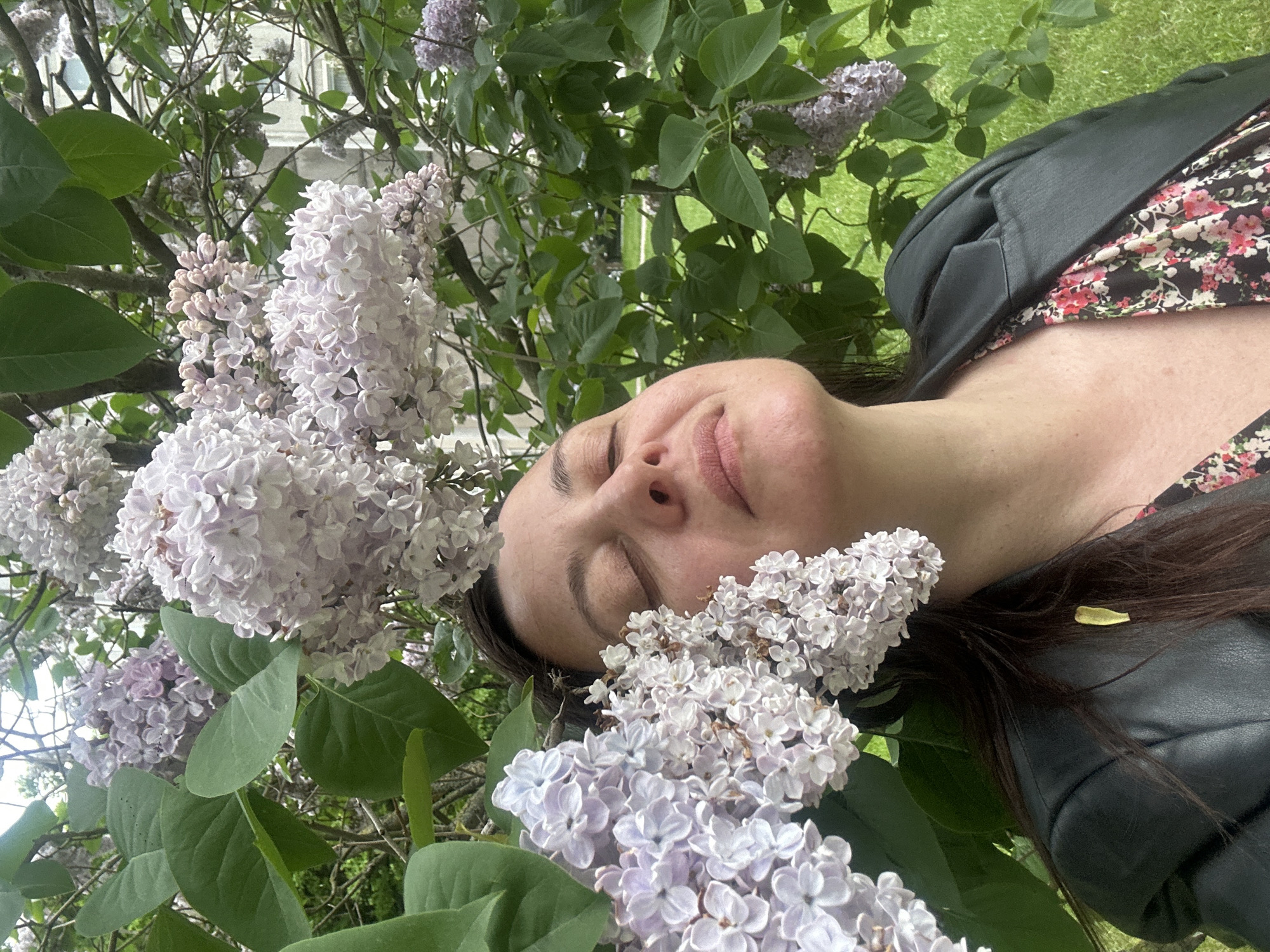 Spring blooms documented by witnesses in Riga parks