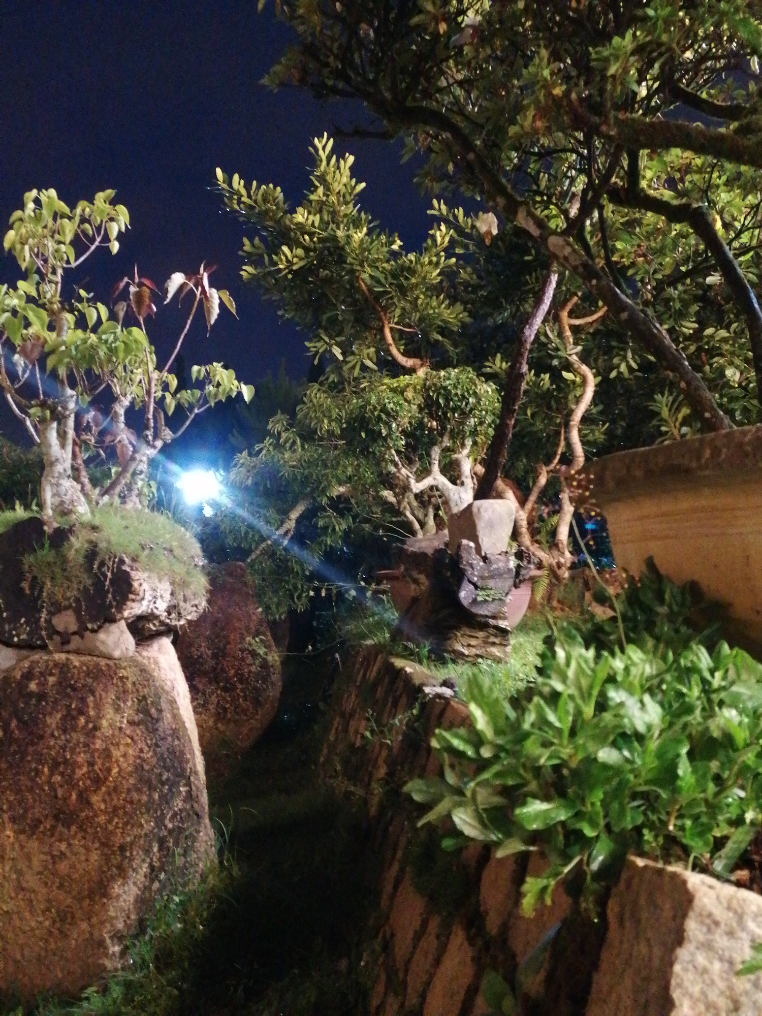 Evening temple visits and garden exploration in Da Lat