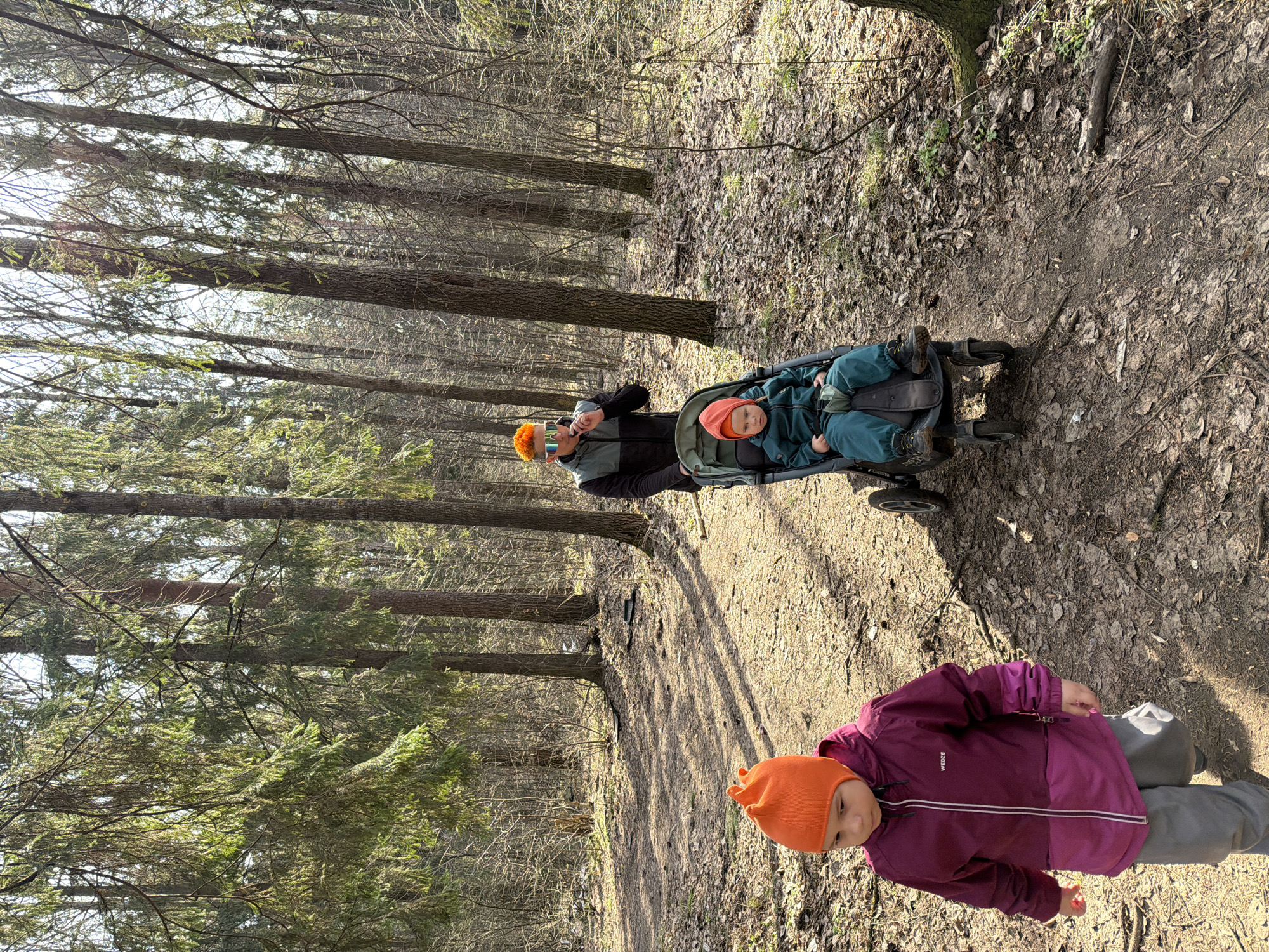 Family forest walk documented in early morning Chaikovsky outing