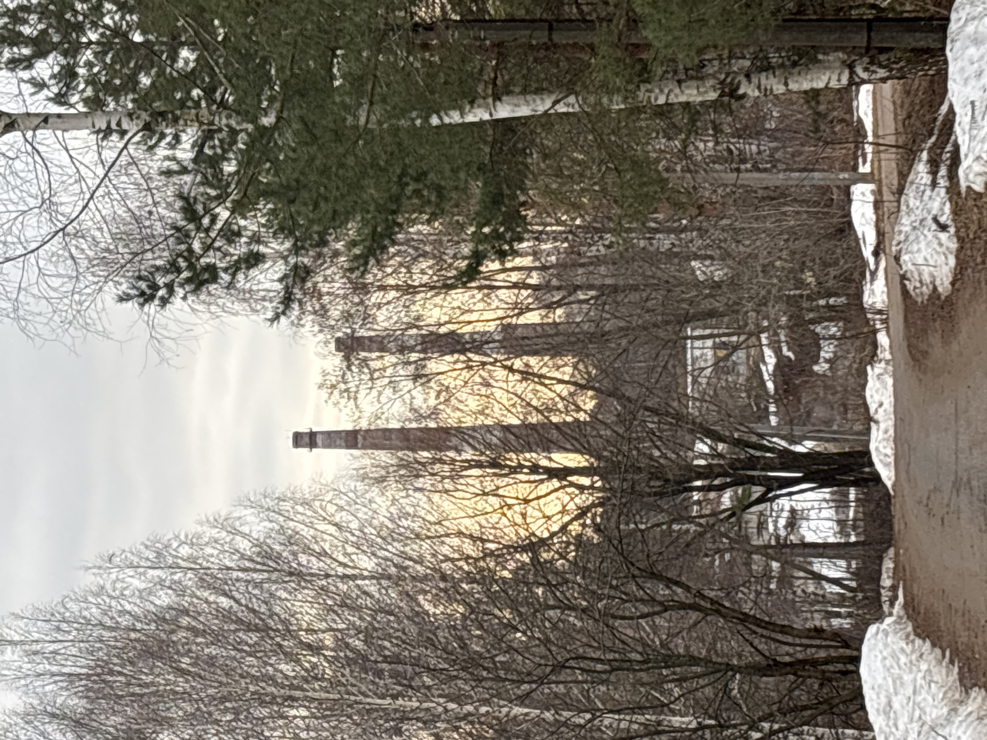 Morning scenes captured in Chaikovsky: birch trees, industrial walkway