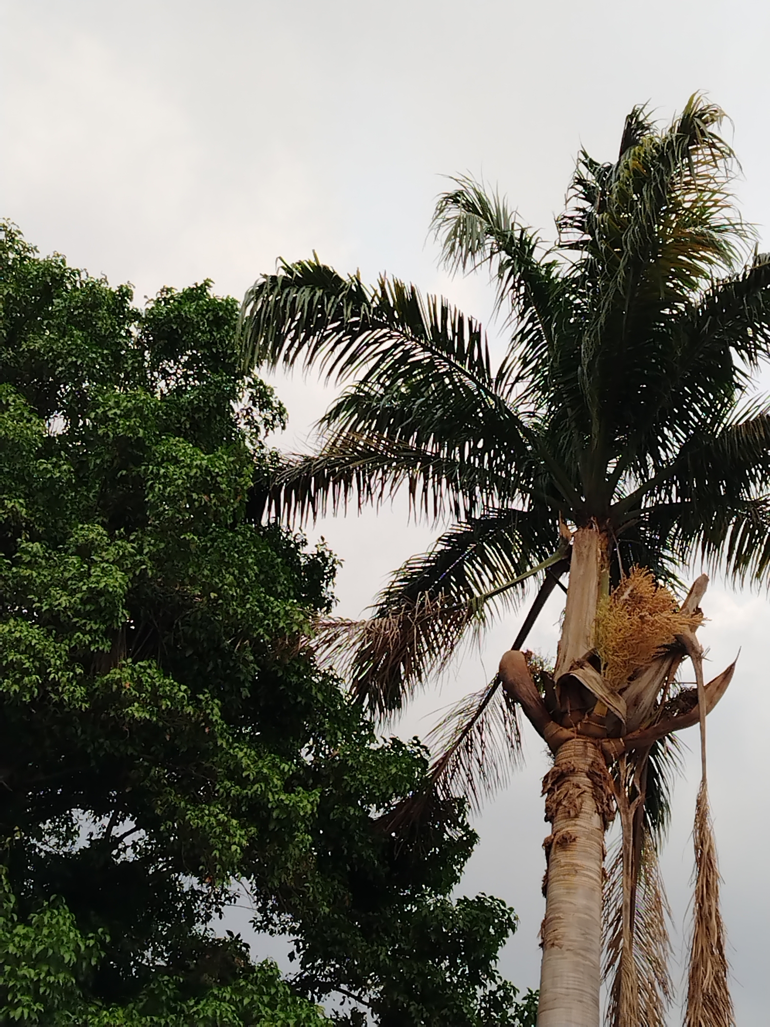 Everyday moments captured across Tinaquillo, Venezuela