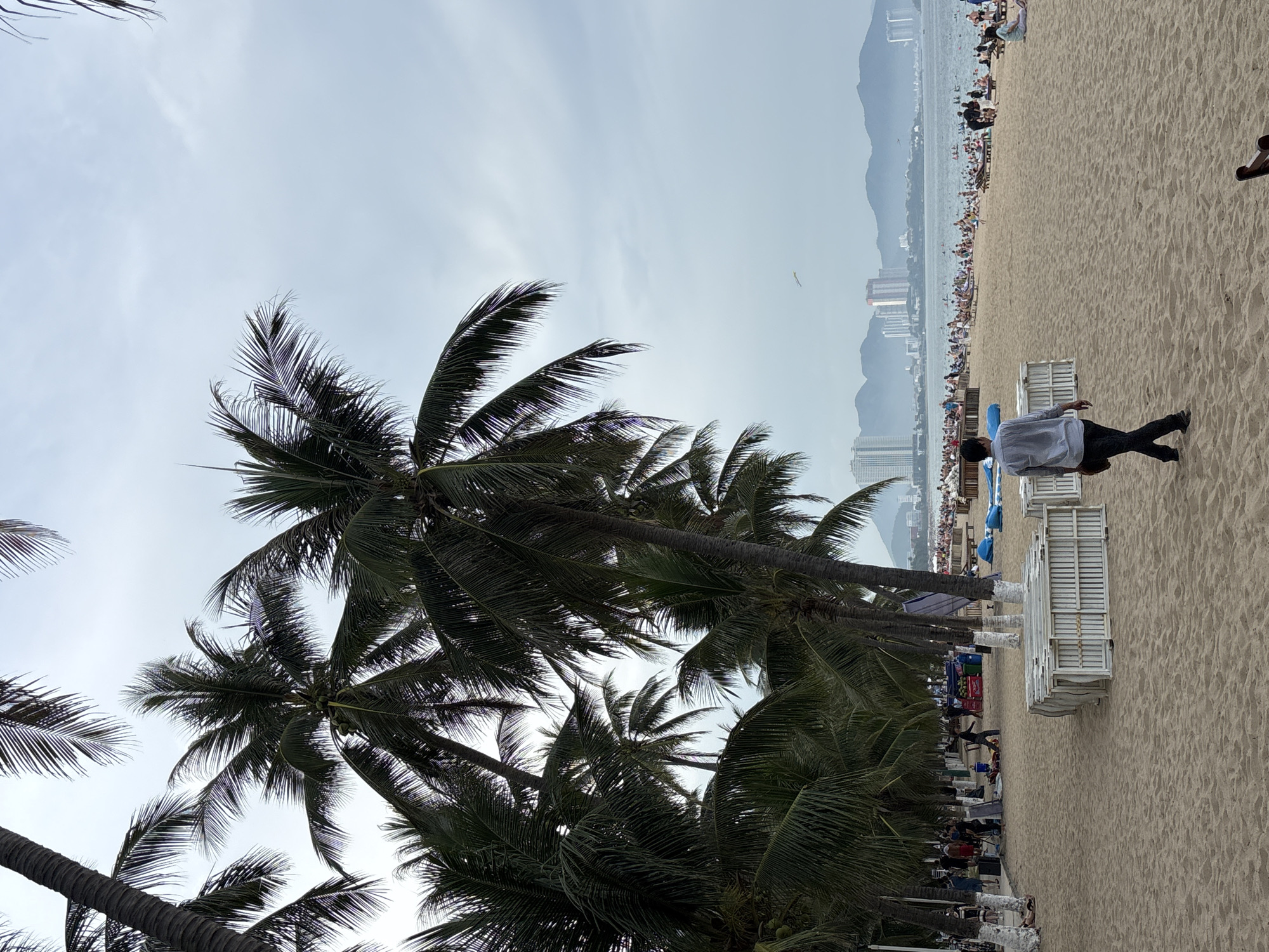 Nha Trang beach morning, street scenes, and sleepy dogs