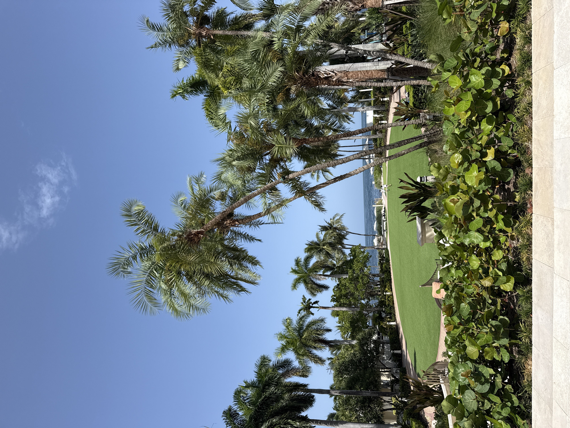 Modern patio and tropical greenery on a sunny Key Biscayne afternoon