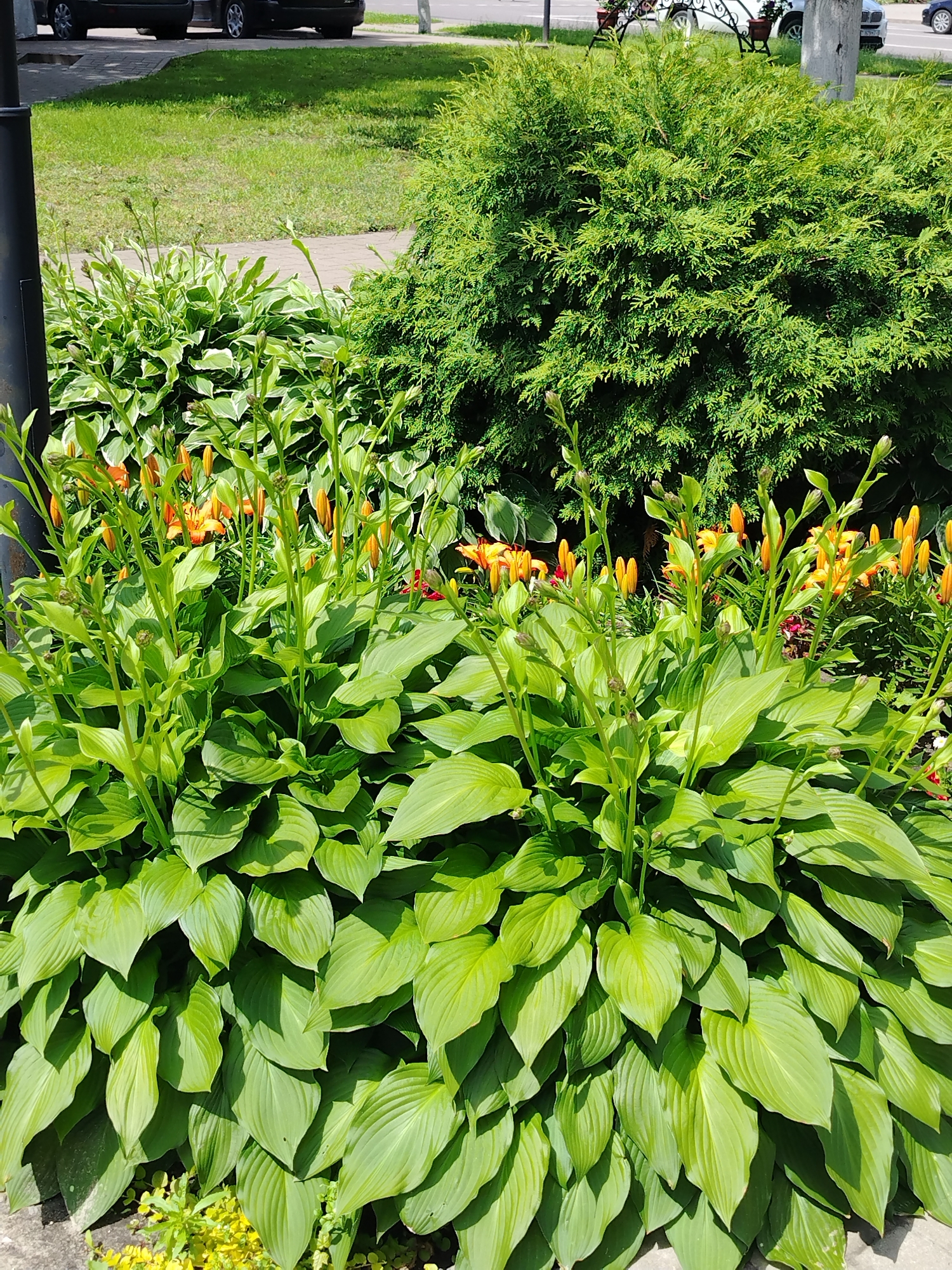 Street-level look at Luniniec's city center gardens and architecture