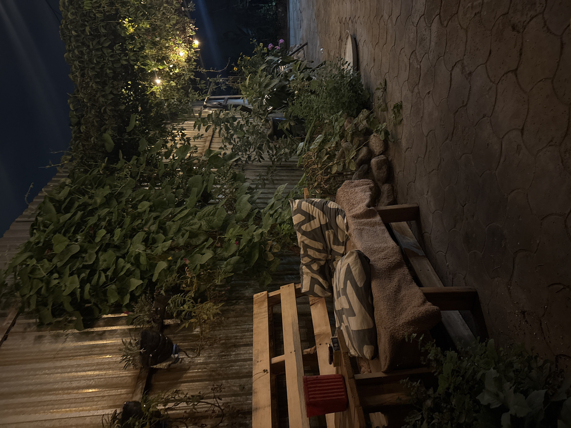 String-lit patio nook in Almaty, vines and warm glow