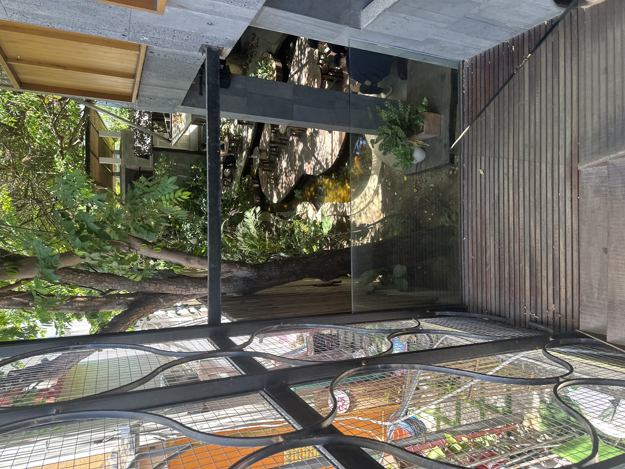 Koi pond café in Đà Nẵng, Vietnam