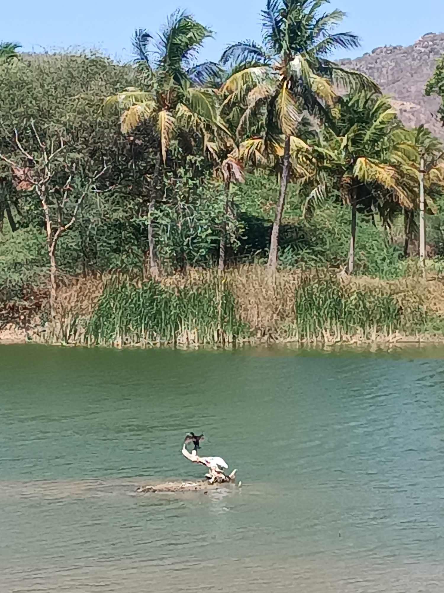 Chitravathi River views documented in Puttaparthi, India