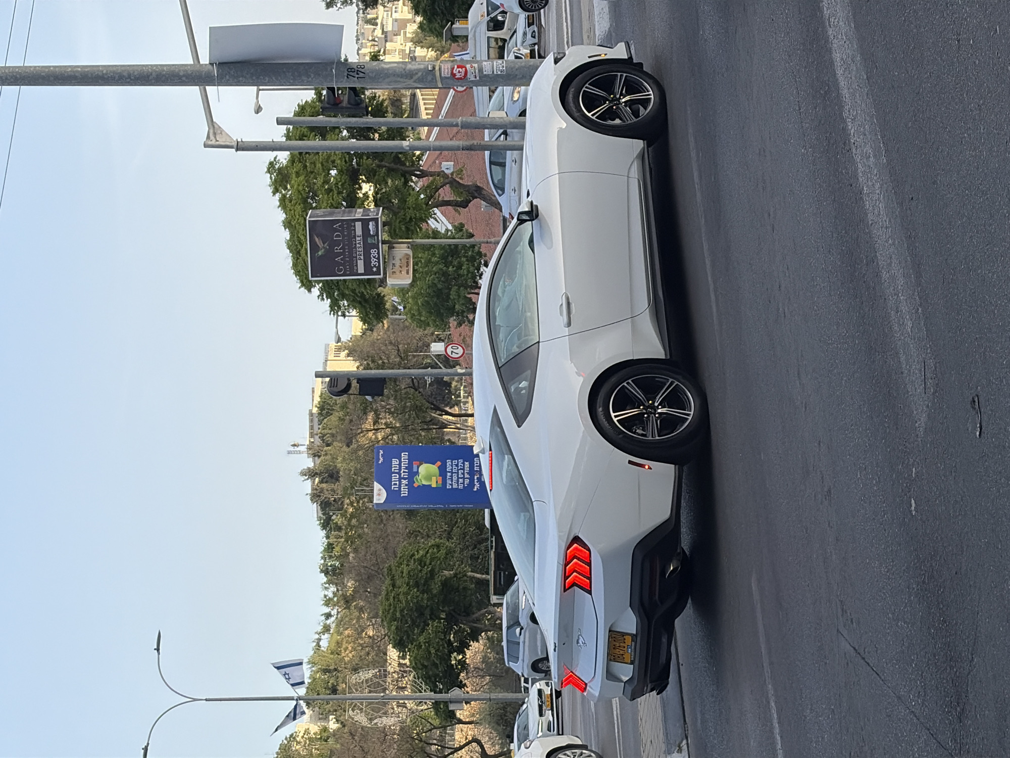 Everyday moments captured: car, flower, paintings, street scenes