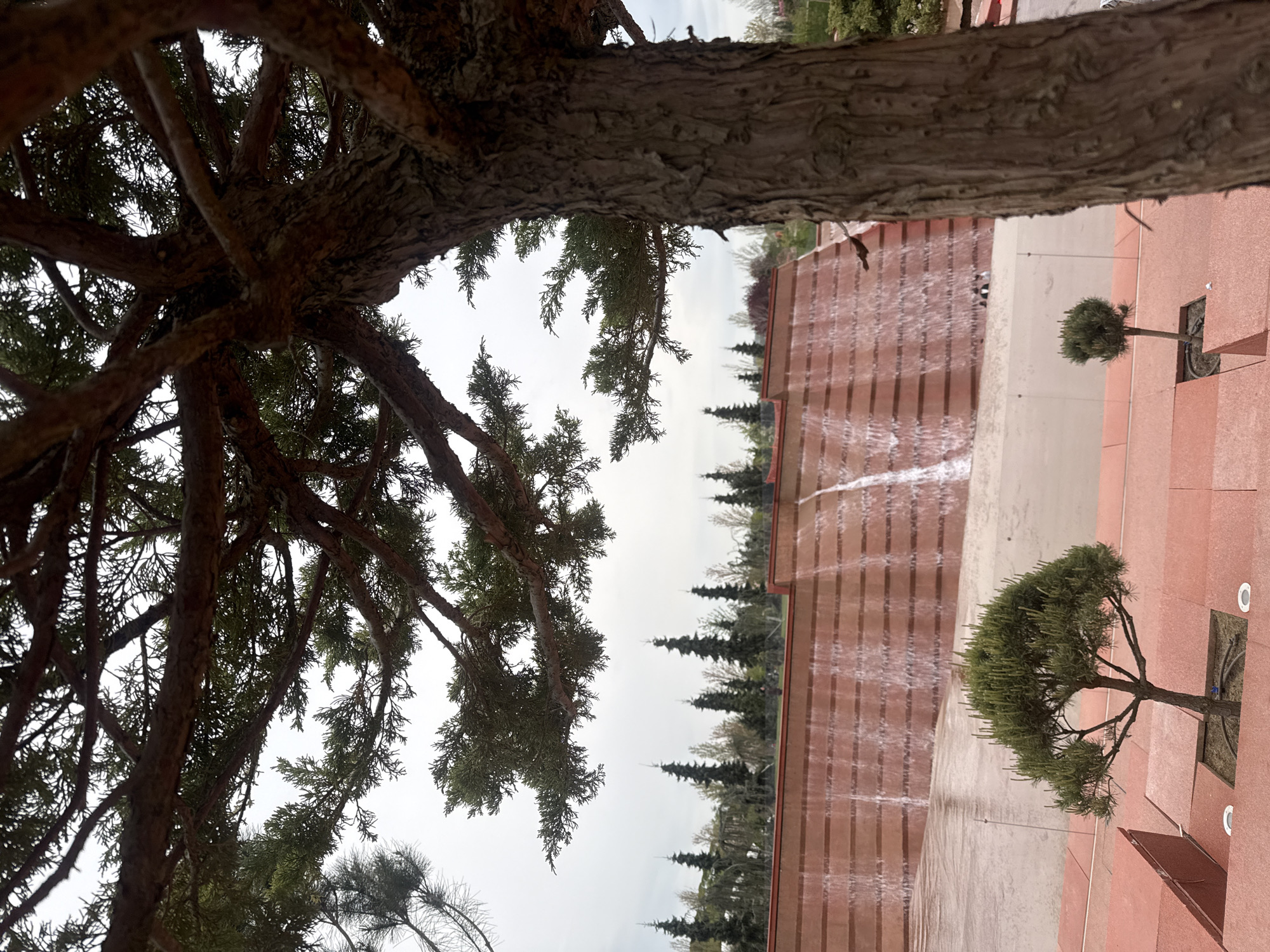 Afternoon park scenes documented in Krasnodar, Russia