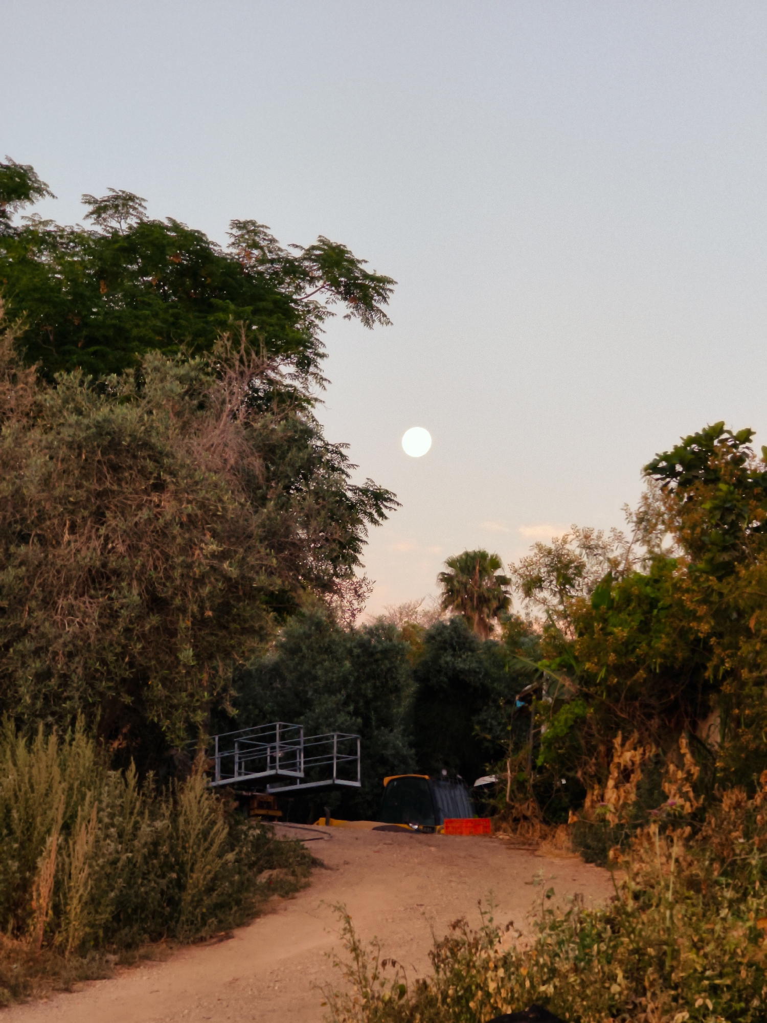 Full moon rises over Lachish Regional Council at twilight