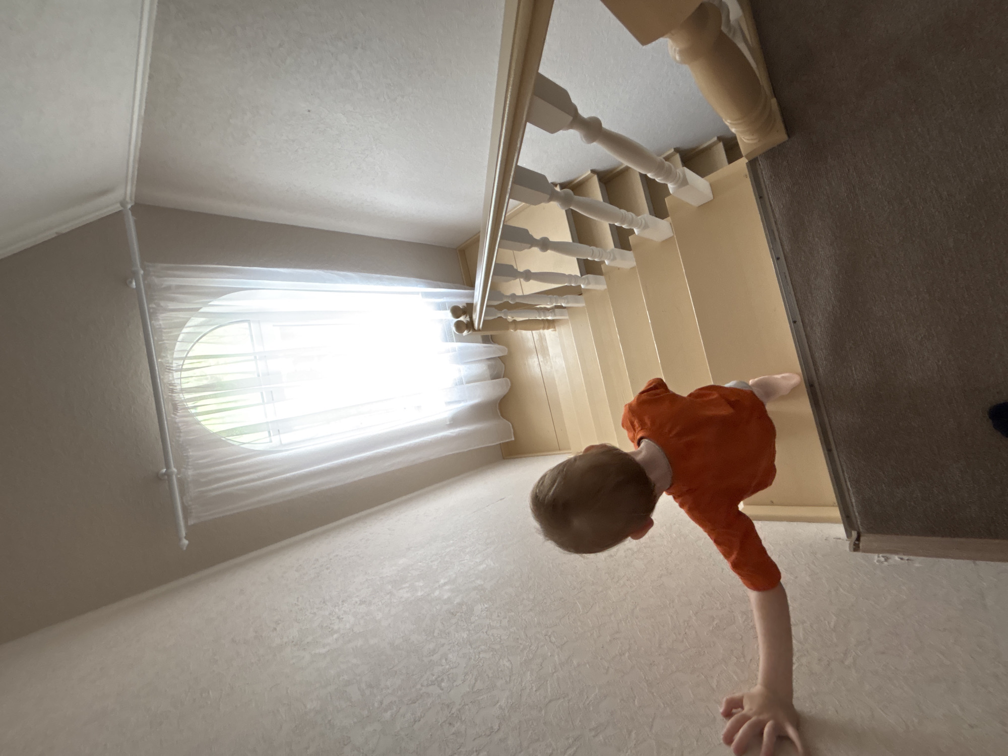 Domestic moments captured in Ферма family home during morning hours