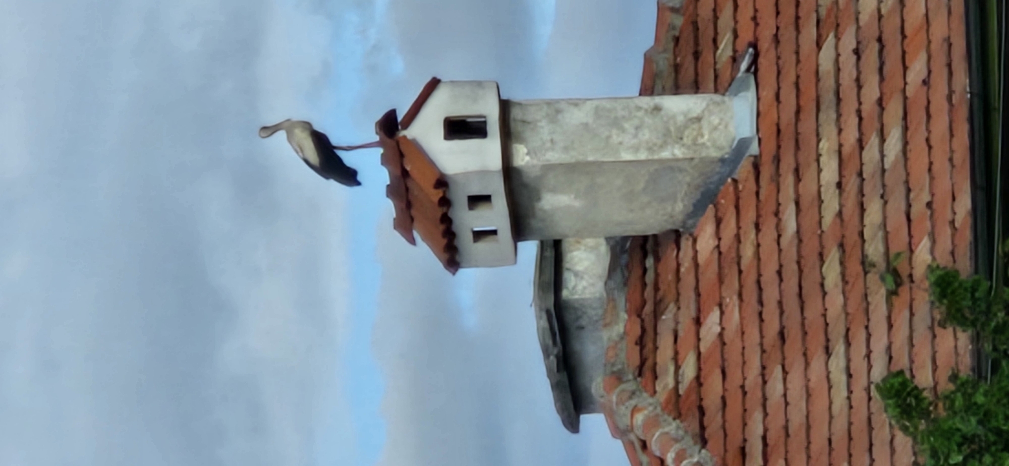 Stork spotted on chimney in Blagoevgrad, Bulgaria