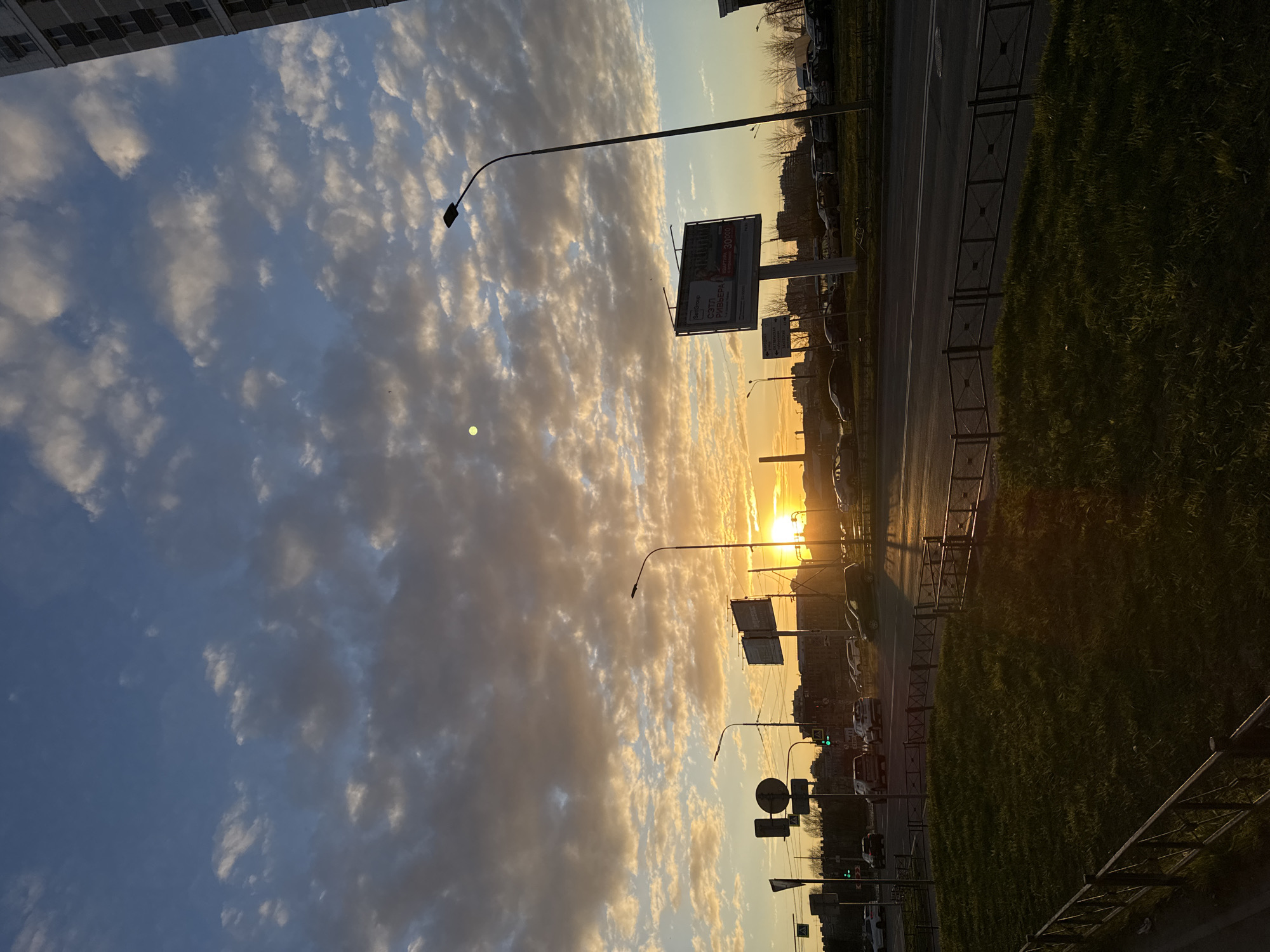 Spring forsythia blooms documented during sunset in Saint Petersburg