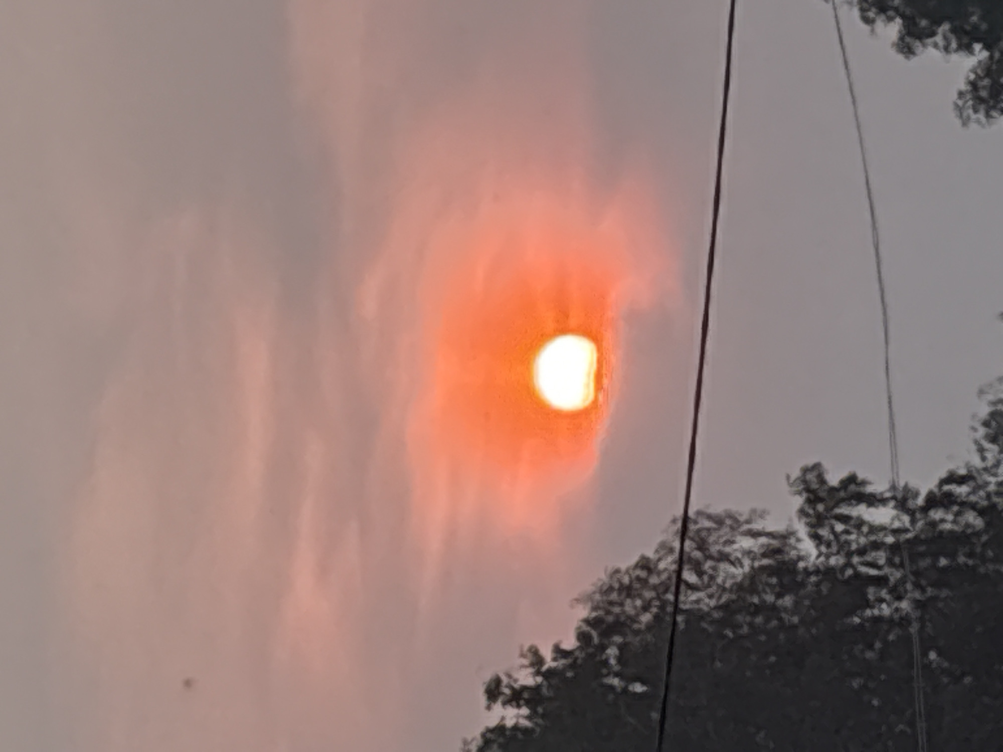 Hazy orange sunset over Dubrovino, trees in silhouette