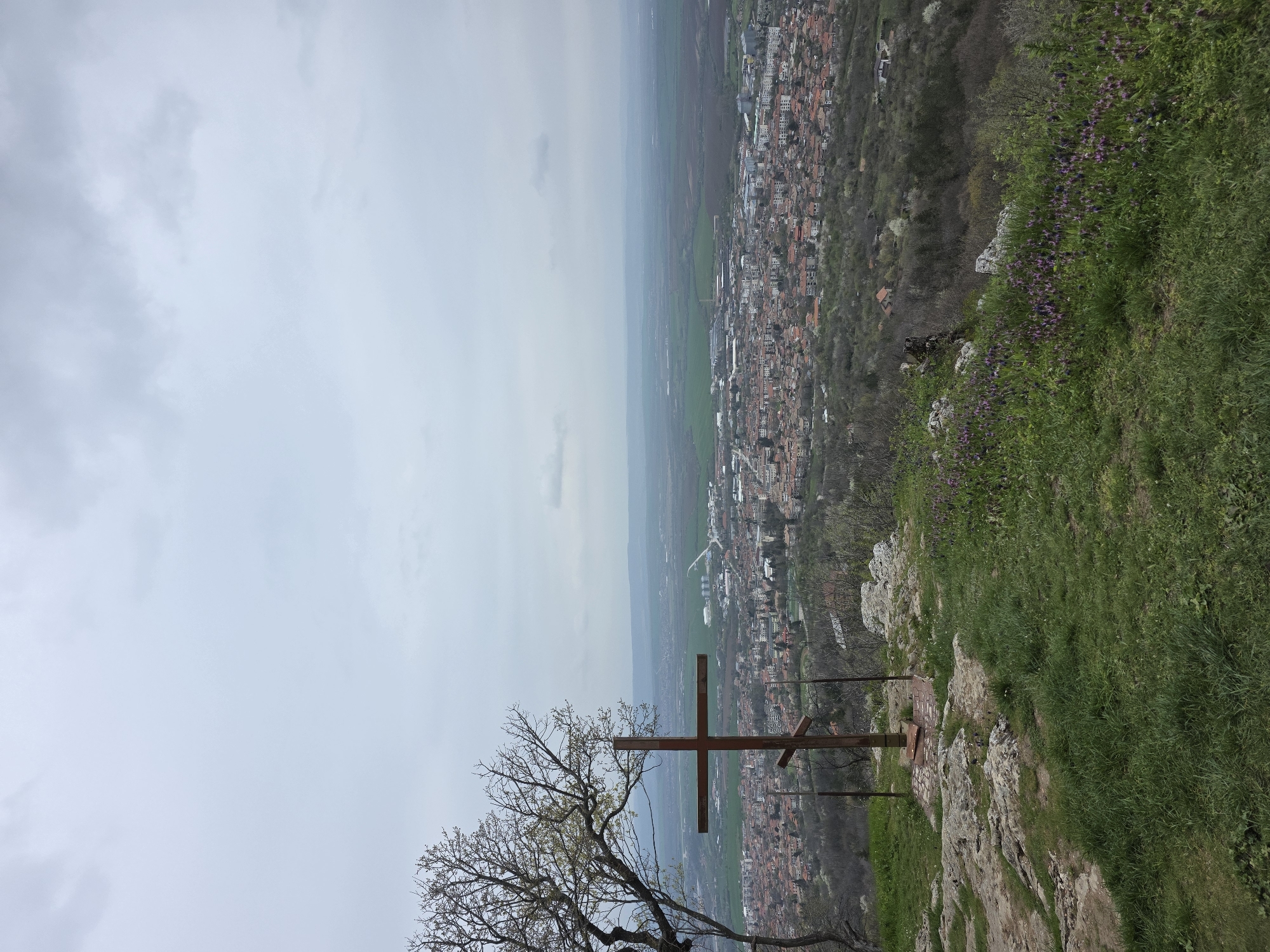 Scenic overlook visit with dog documented by witness