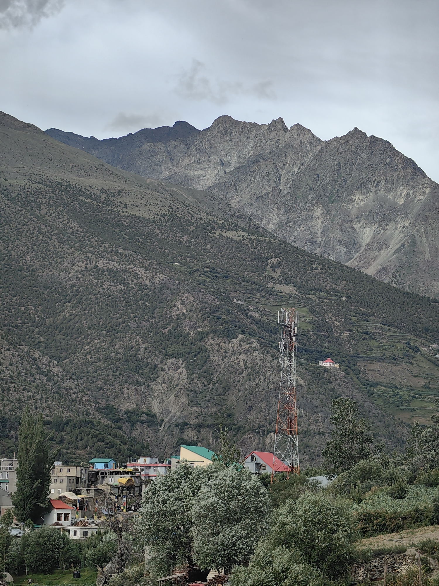Keylong valley under storm clouds, rooftop grass load and all