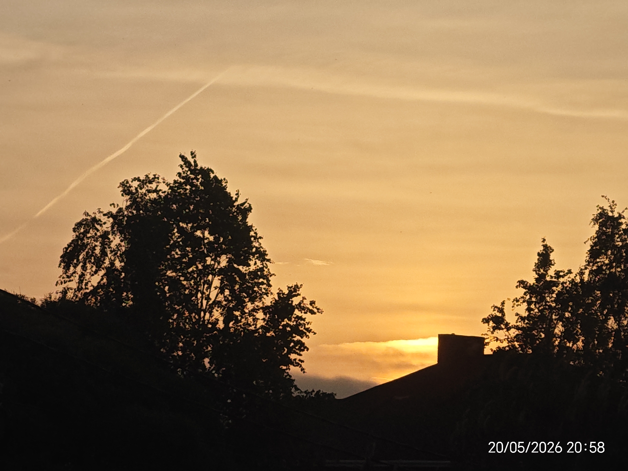 Evening sunset observed with contrail visible in gradient sky