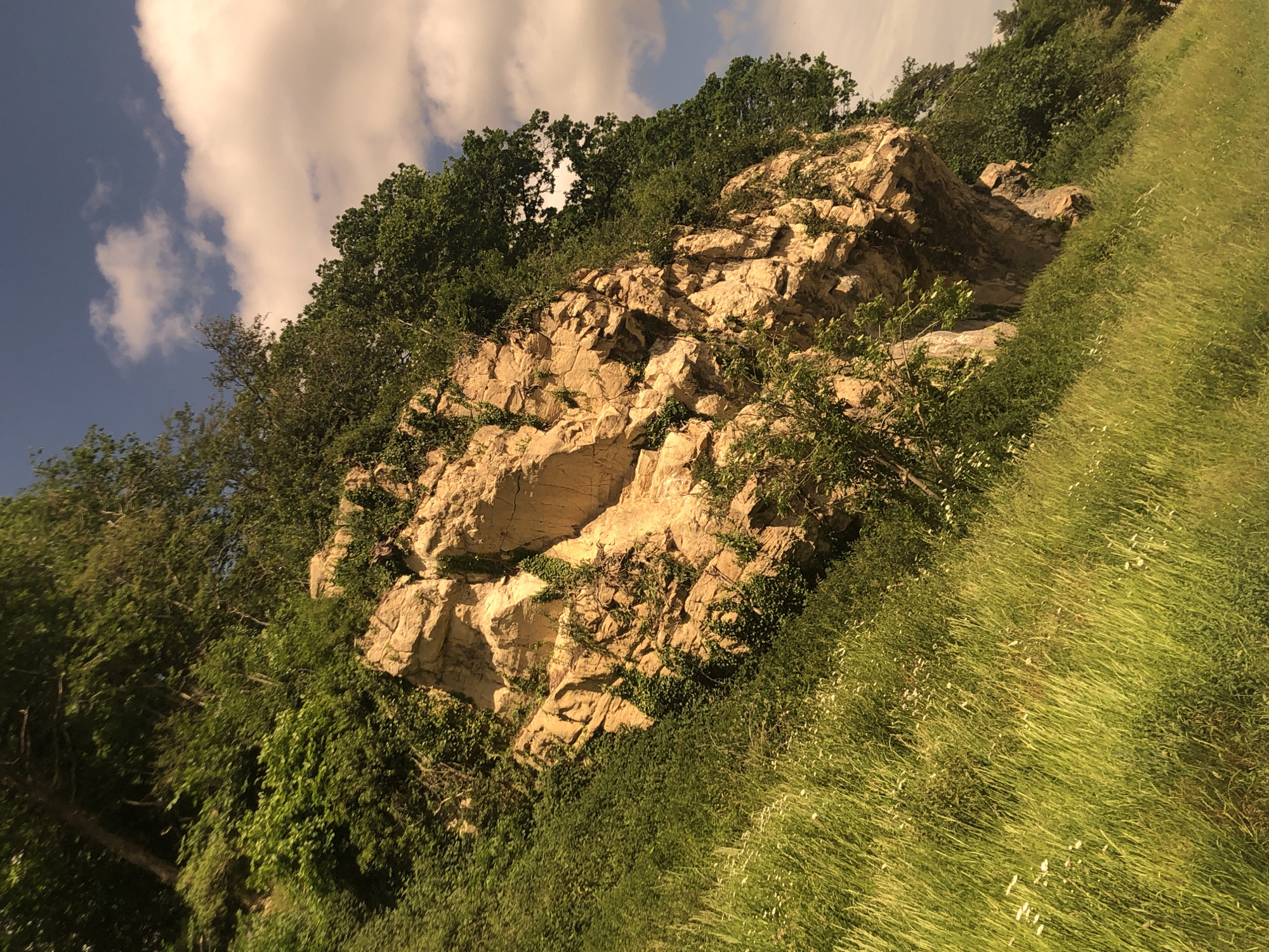 Visitors explore limestone quarry nature site in Bolsover