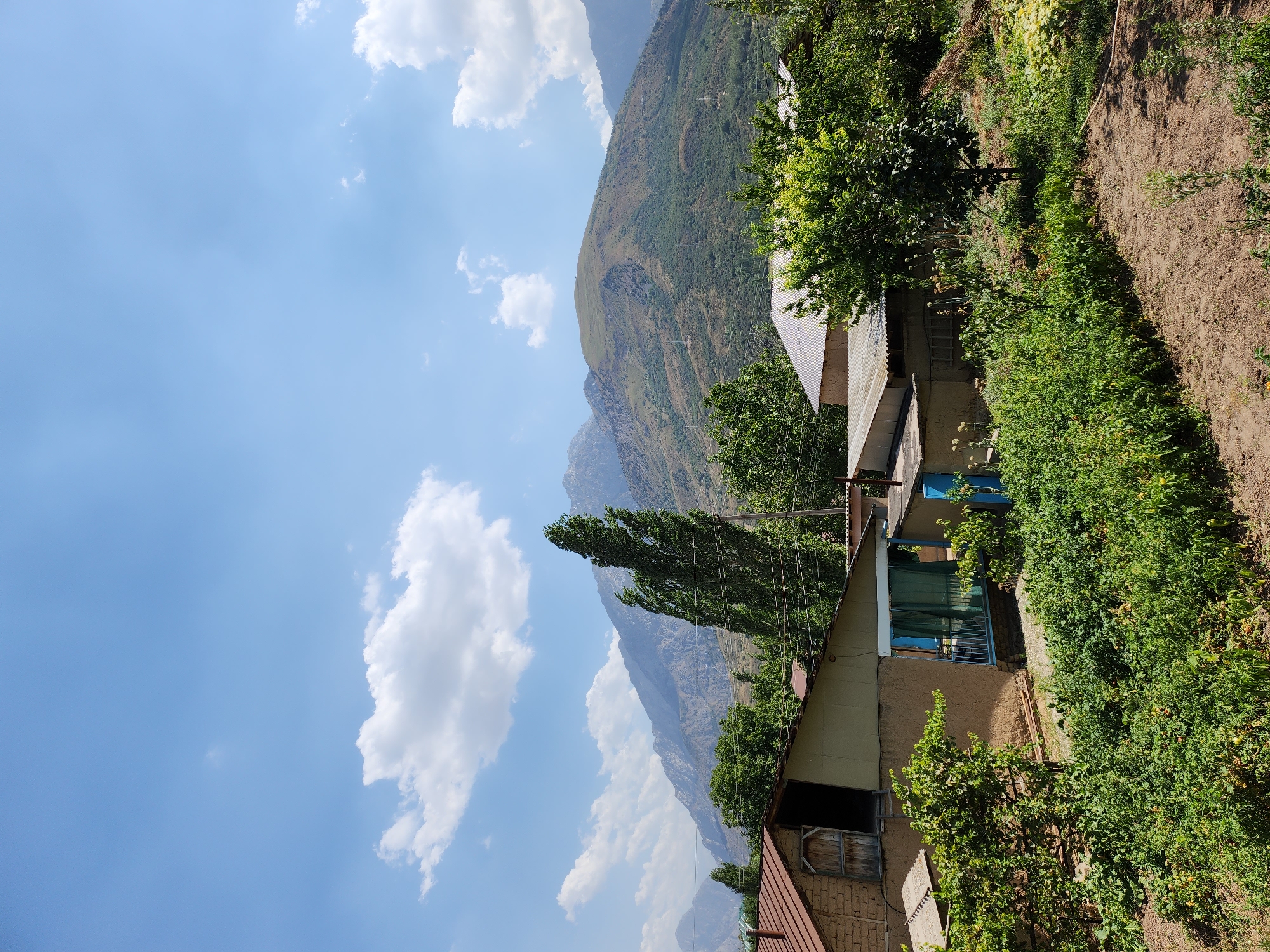 Lazy summer morning at a Yangikurgan backyard, pool and all
