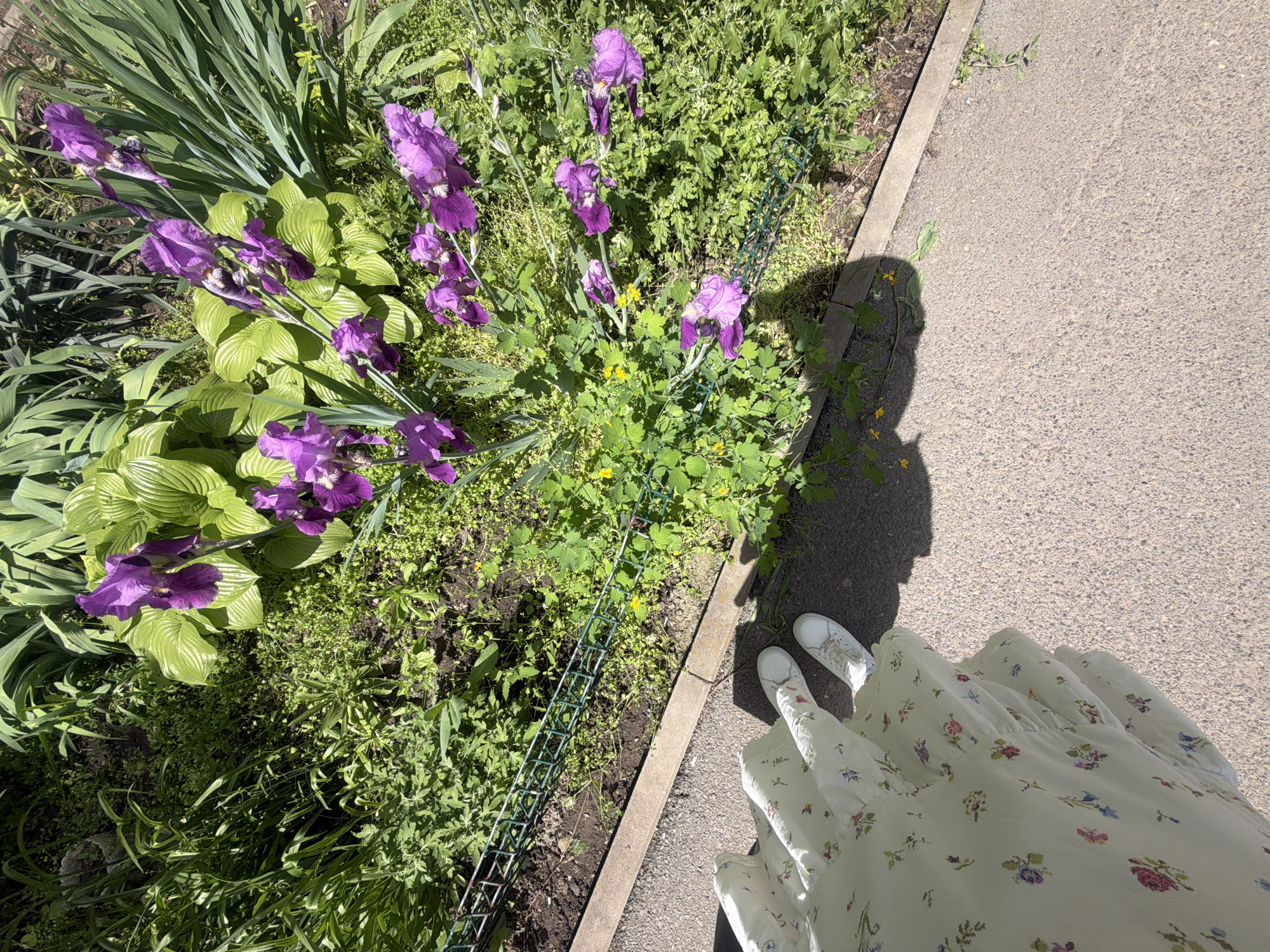 Woman documents leisurely day with selfies in Rostov-on-Don