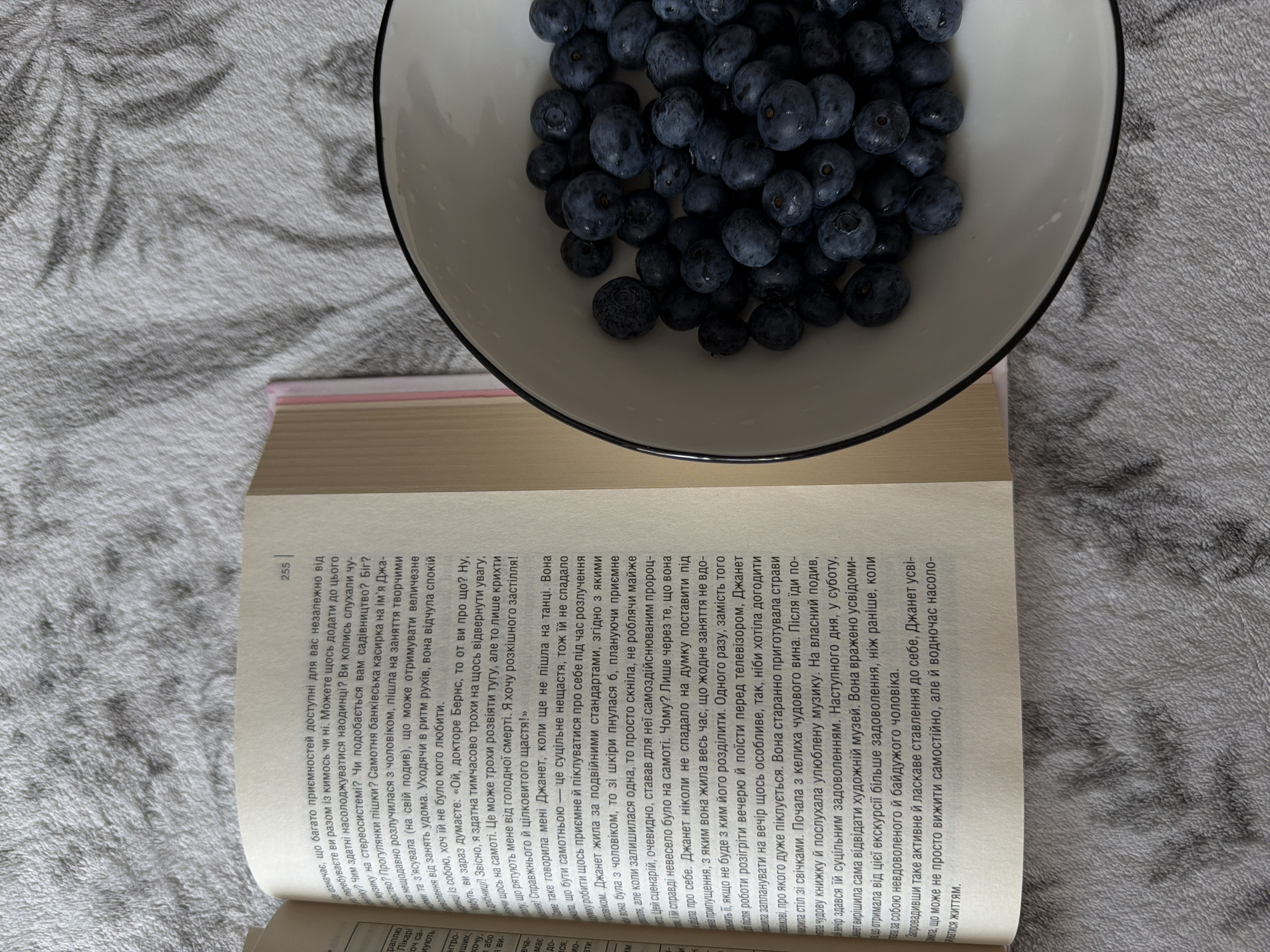 Lazy afternoon in Kyiv: cats, books, blueberries, and a park
