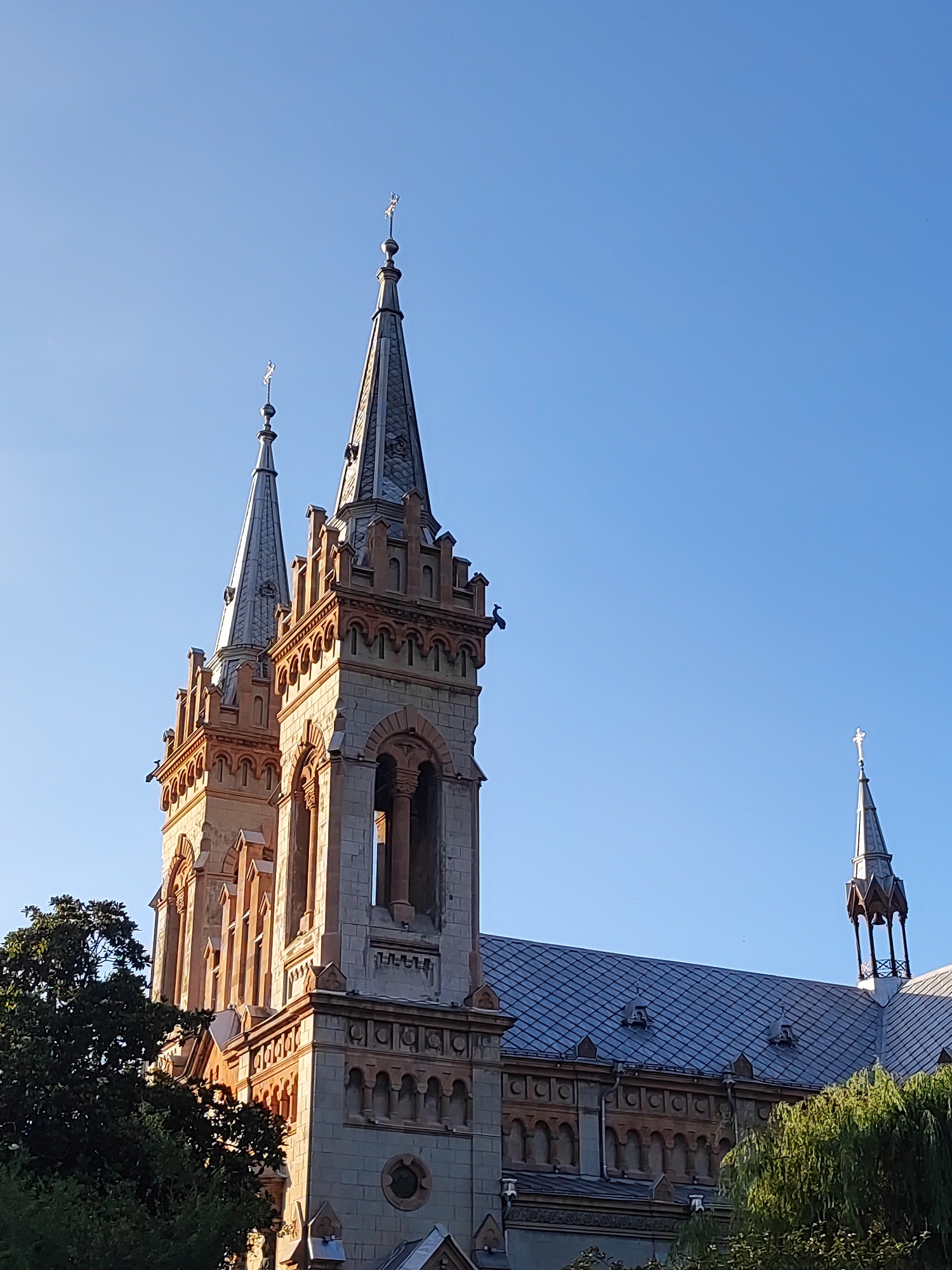 Street-level Batumi: architecture, wine, and city life