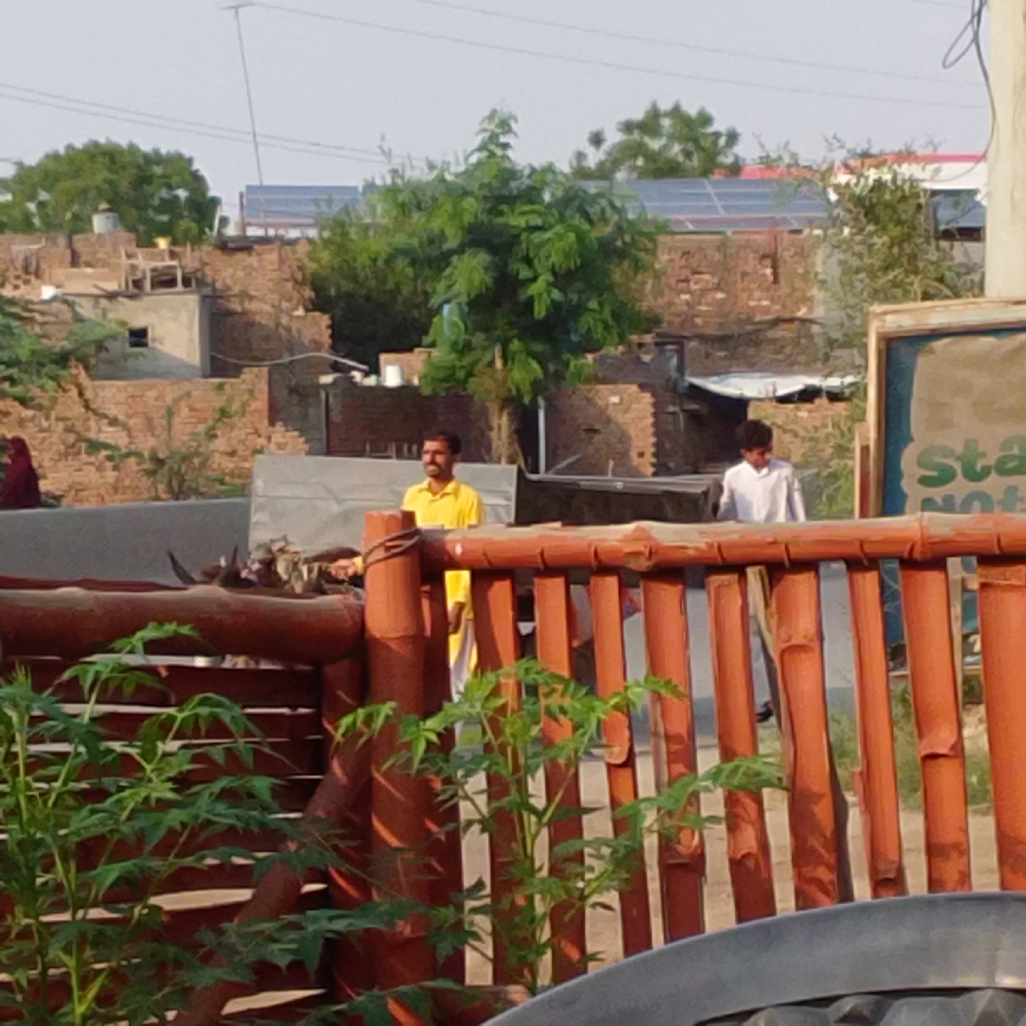 Daily life moments captured in rural Painsra, Pakistan