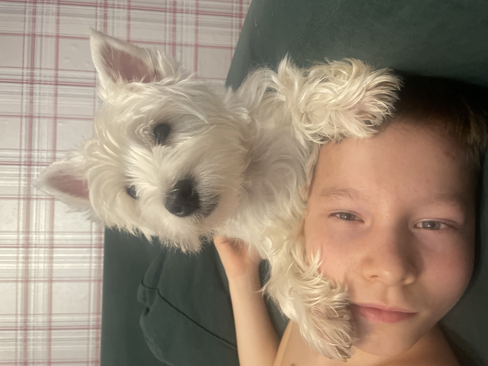 Child and terrier puppy share quiet moment in Samara home