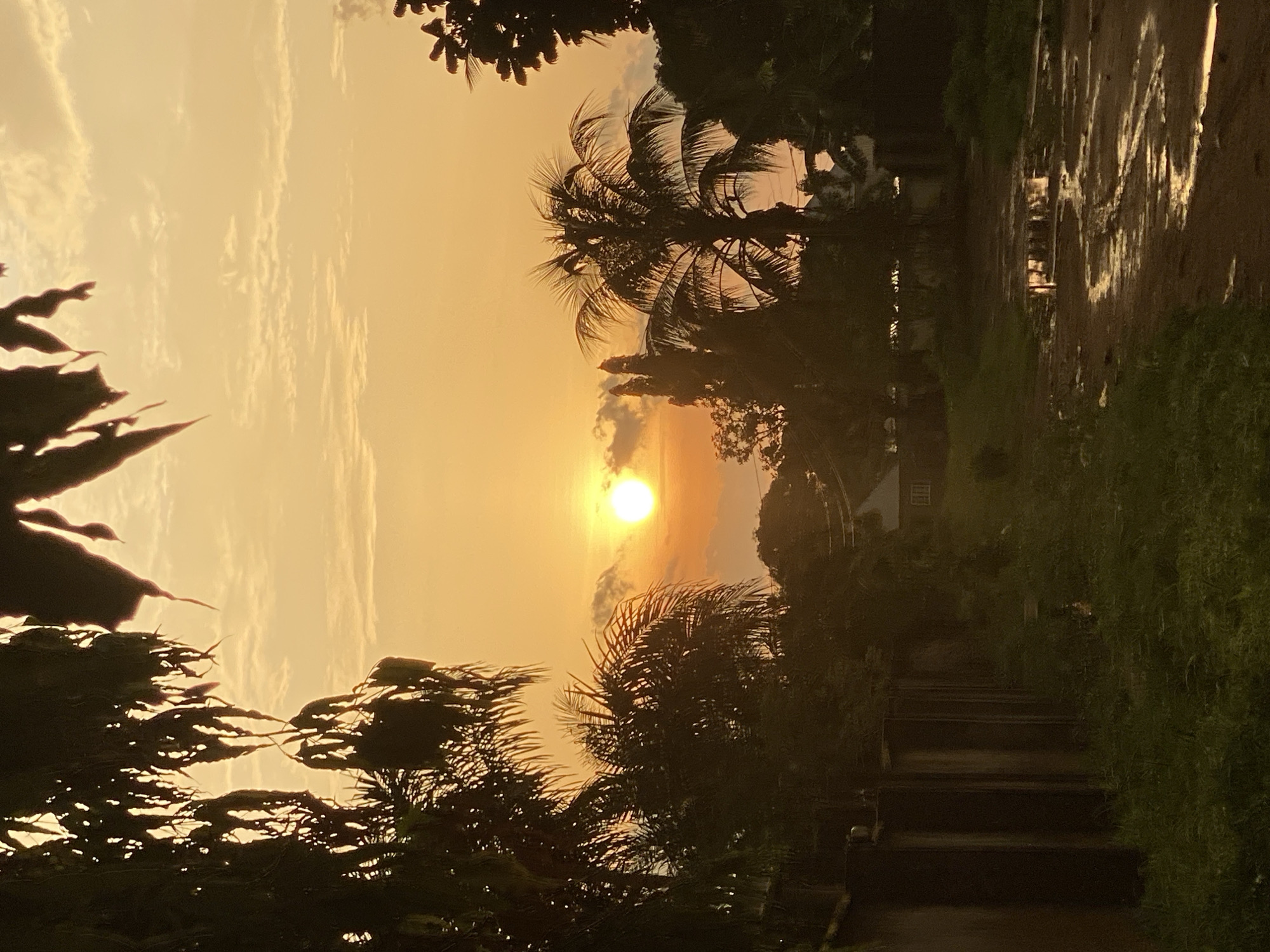 Sunset observed in Maigizo, Nigeria creates orange sky silhouettes