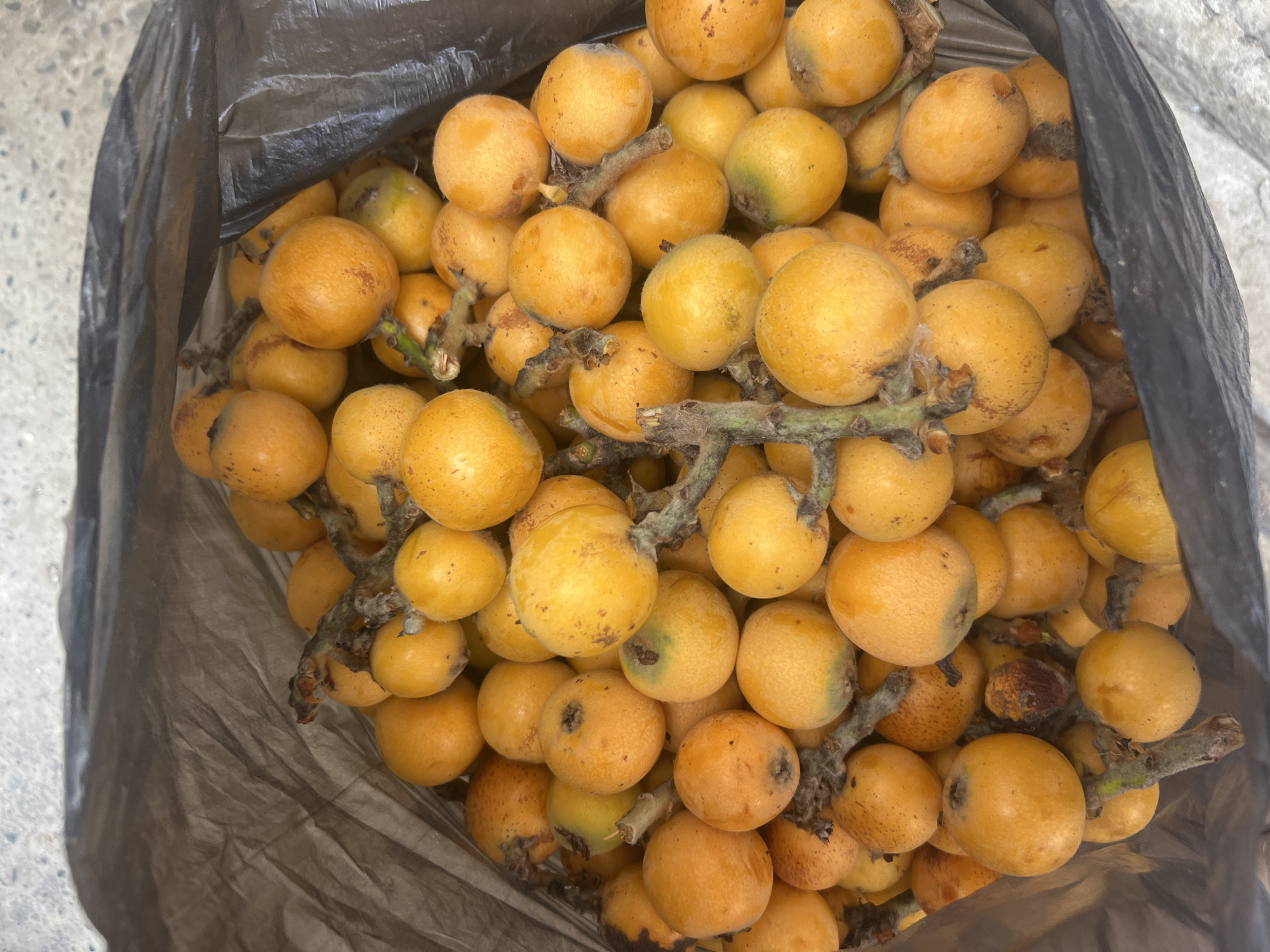 Mixed digital content includes fruit photo, multilingual social posts