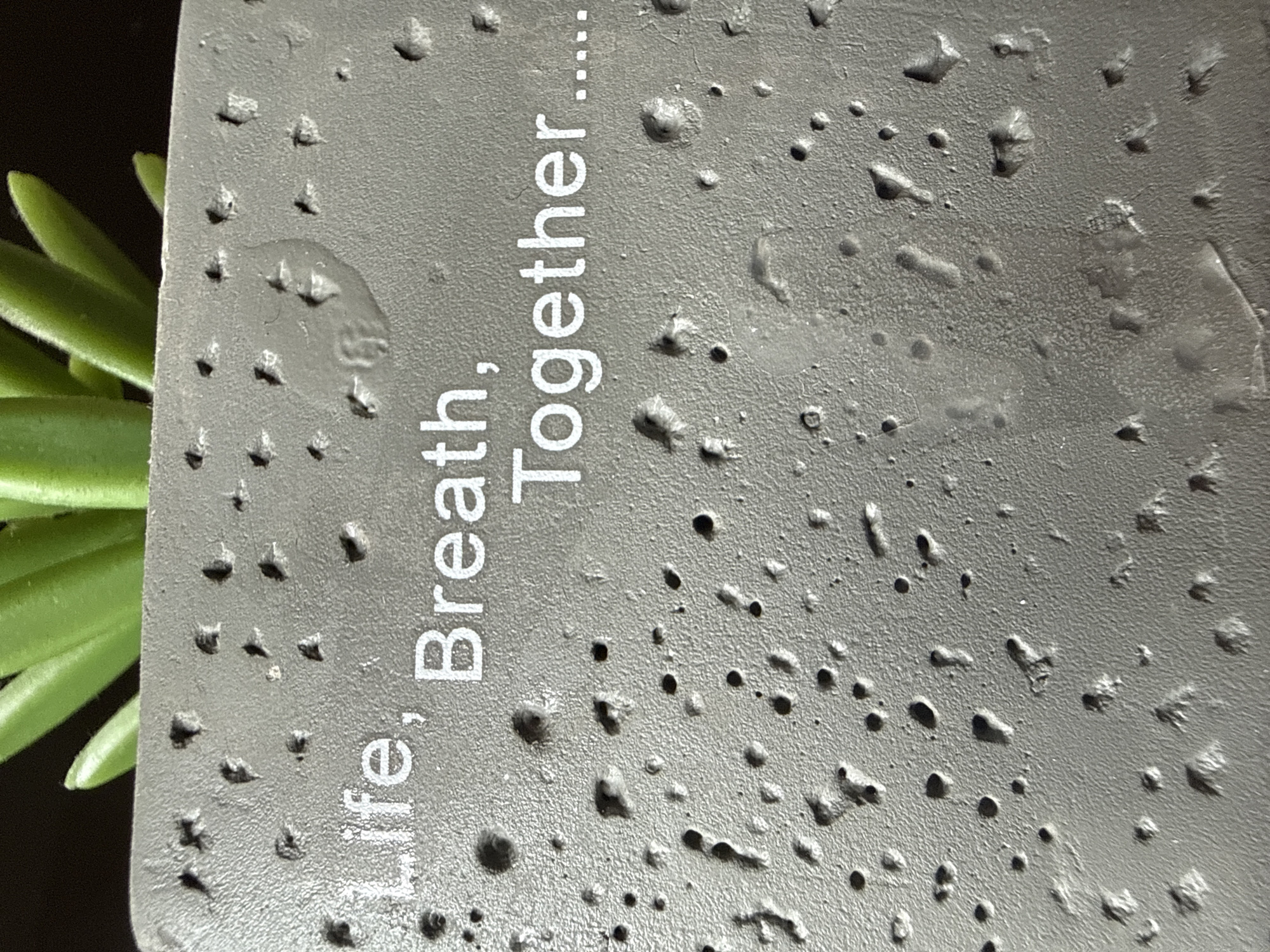 Inscribed memorial surface documented in Cherven Bryag, Bulgaria